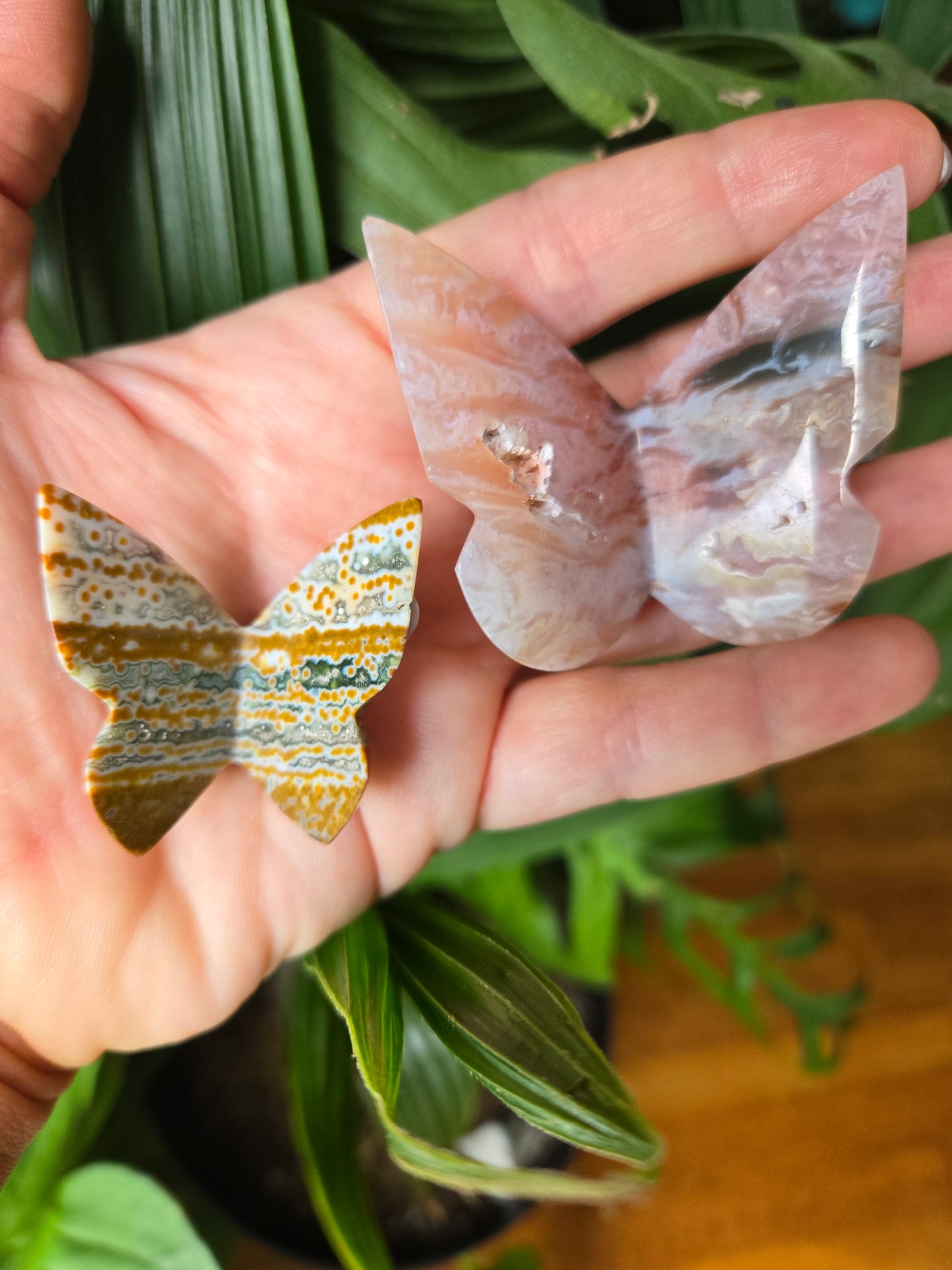 Comment to Claim thestarr141