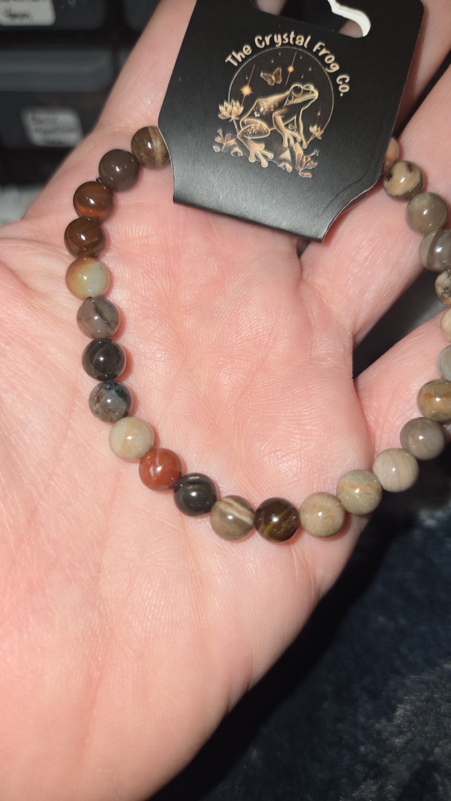 Petrified Wood Bracelet 6mm