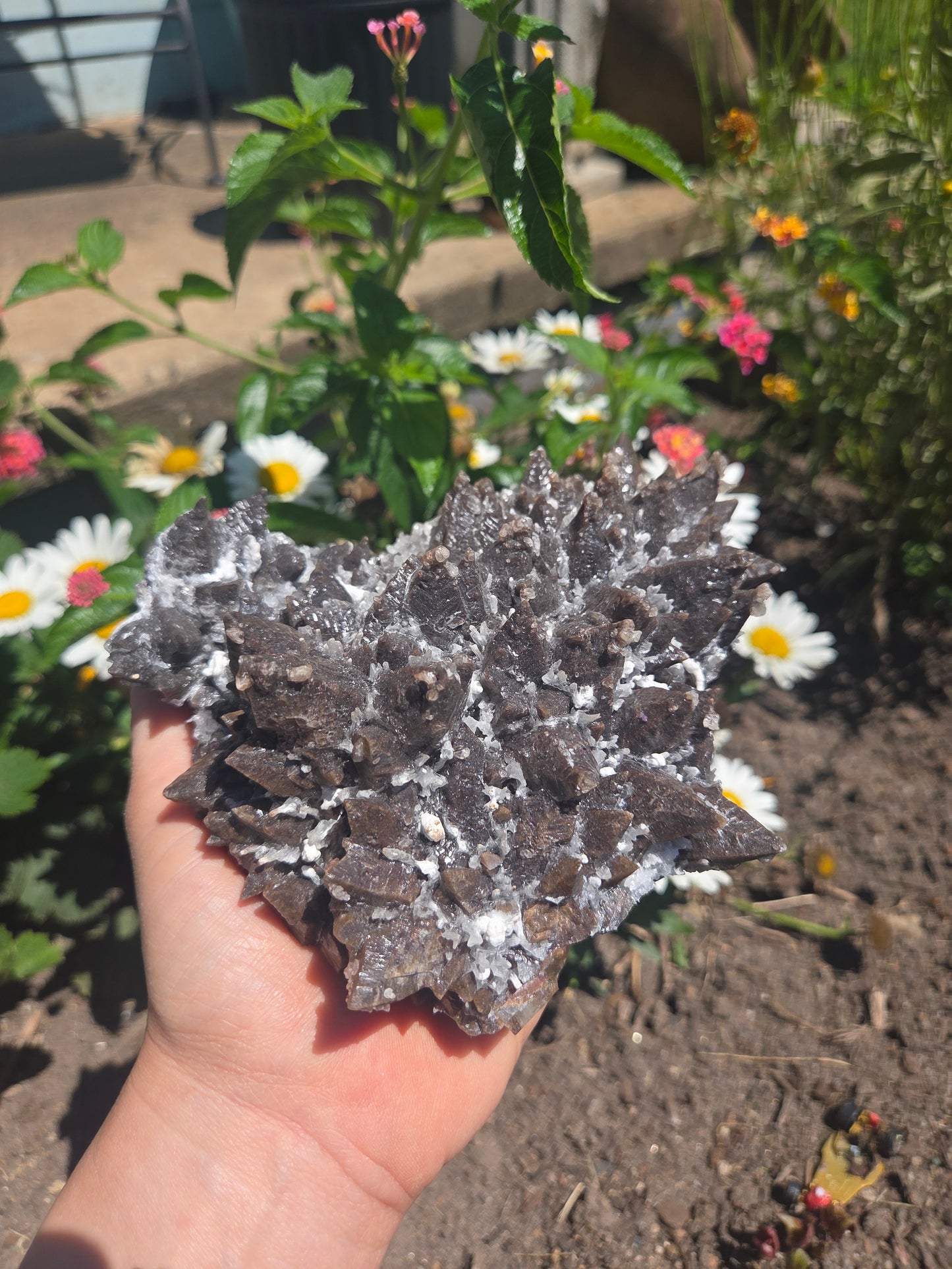 Dogtooth Calcite with Secondary Selenite Coating (Mexico)