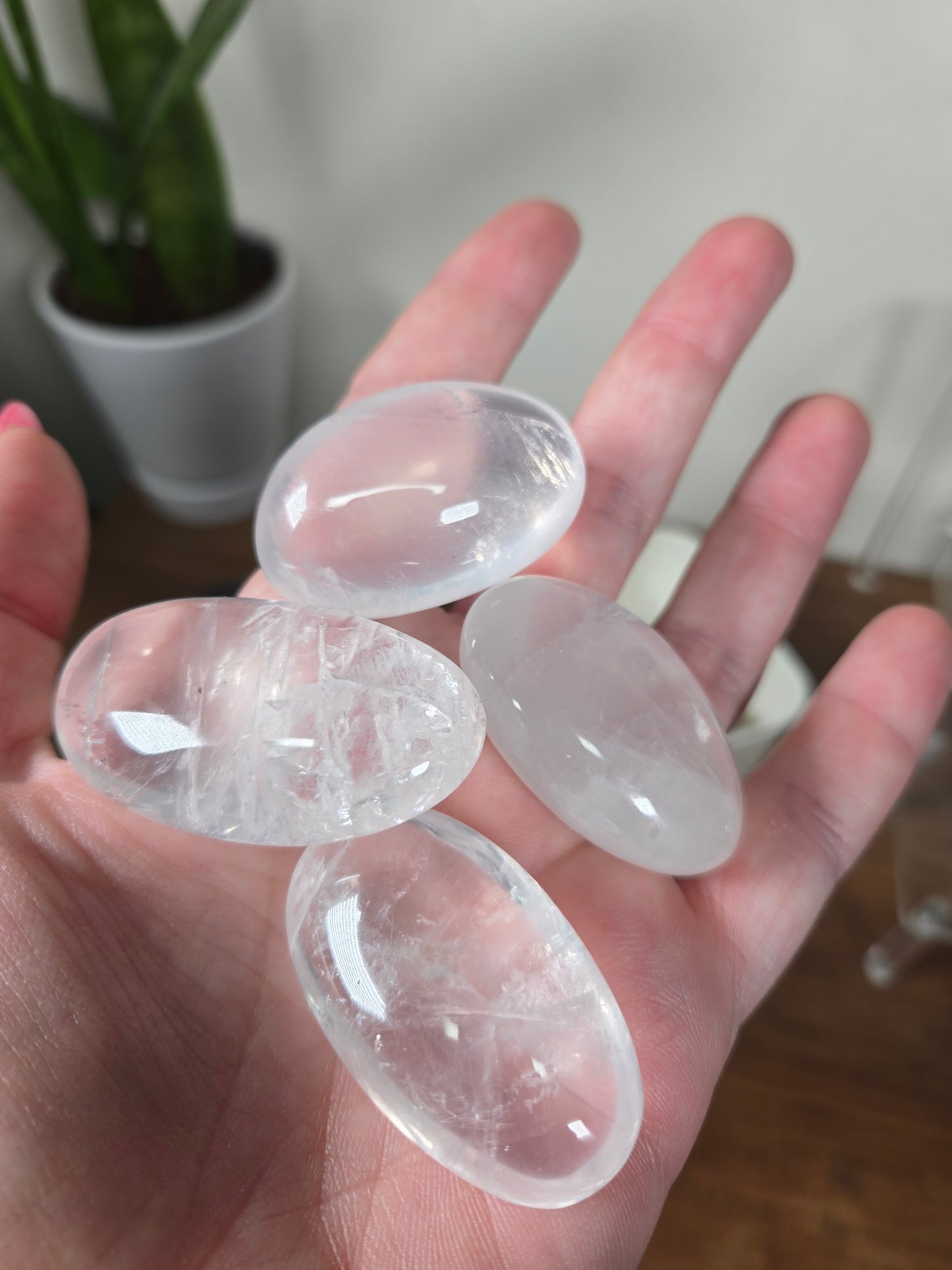 Girasol Tumble/ Palm