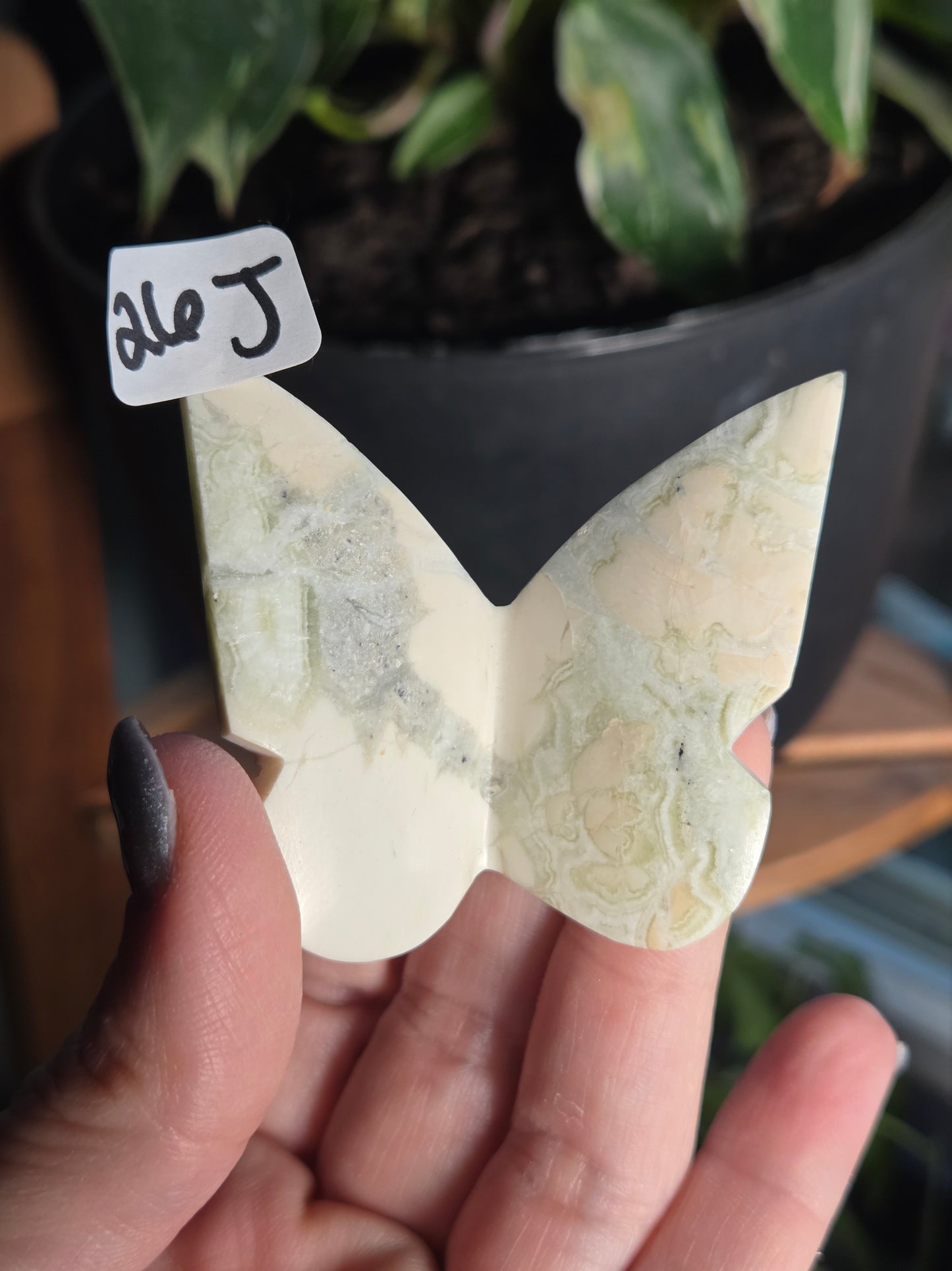 3D Green Maligano Butterfly