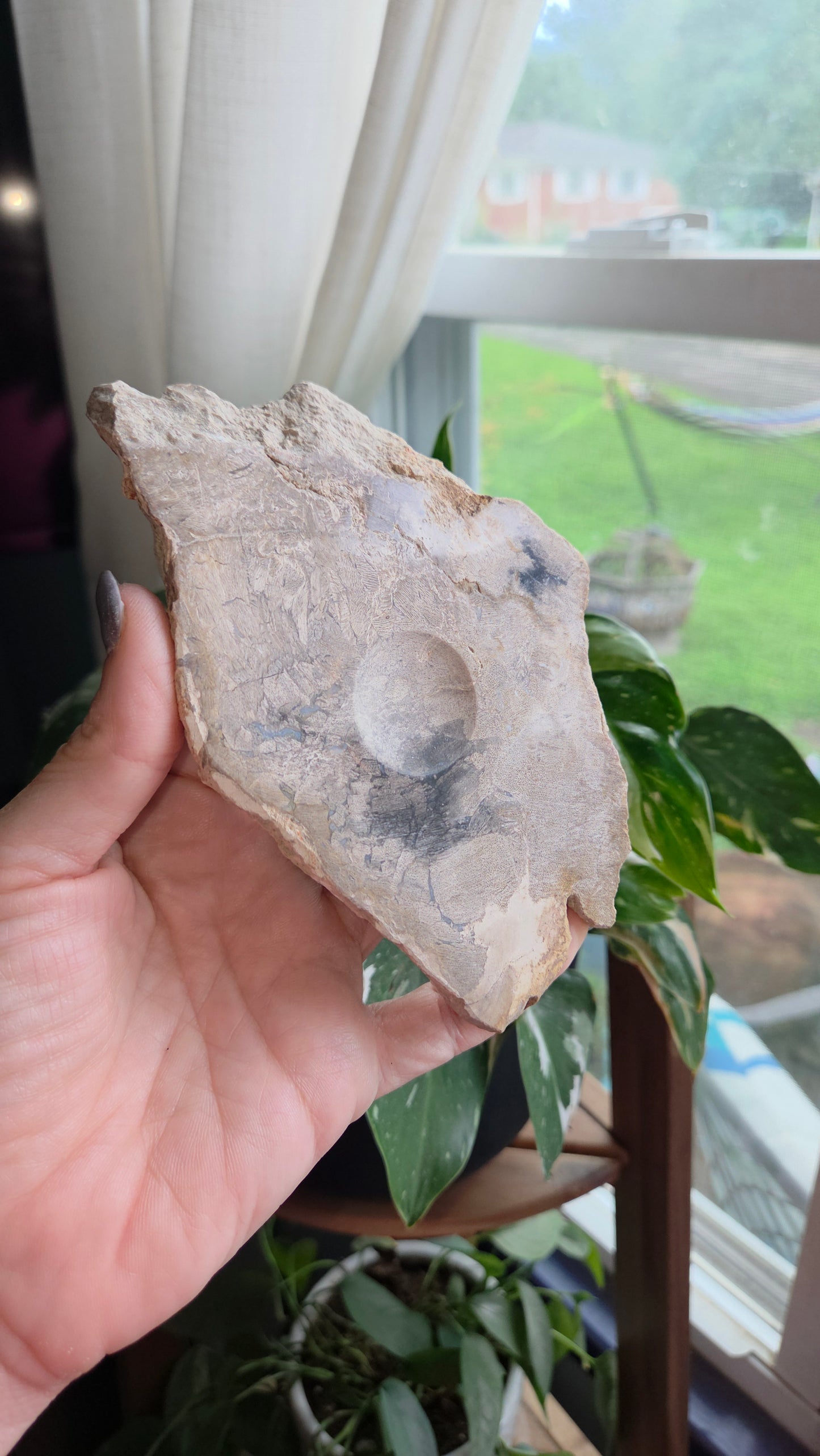 Petrified Wood Sphere Holder (15a)