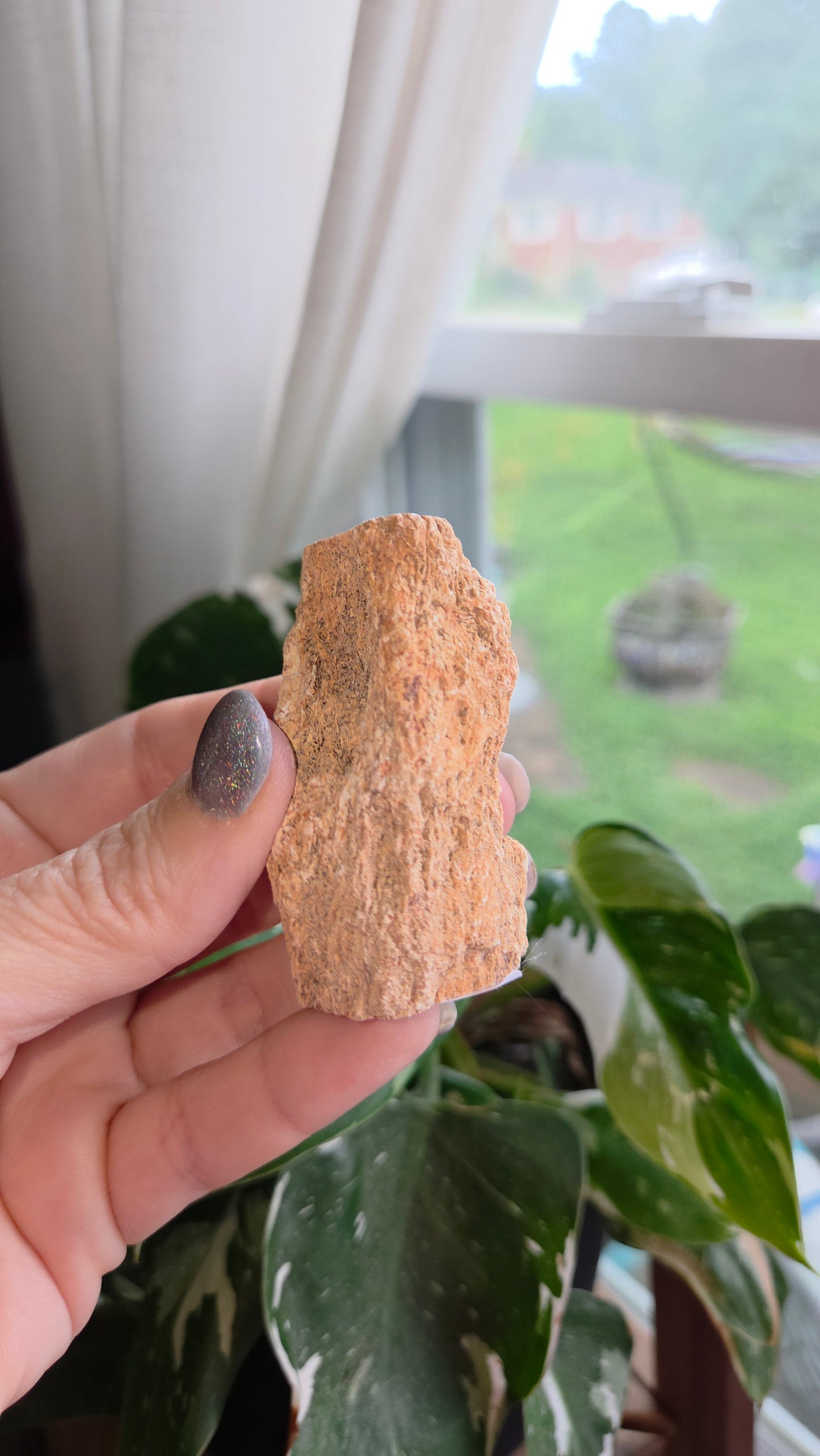 Petrified Wood Log (10z)