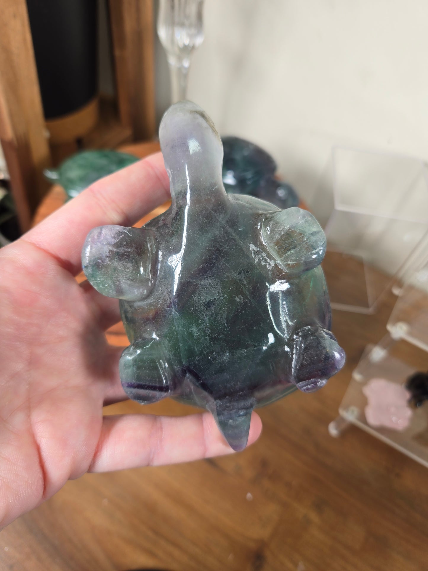 Fluorite Turtles