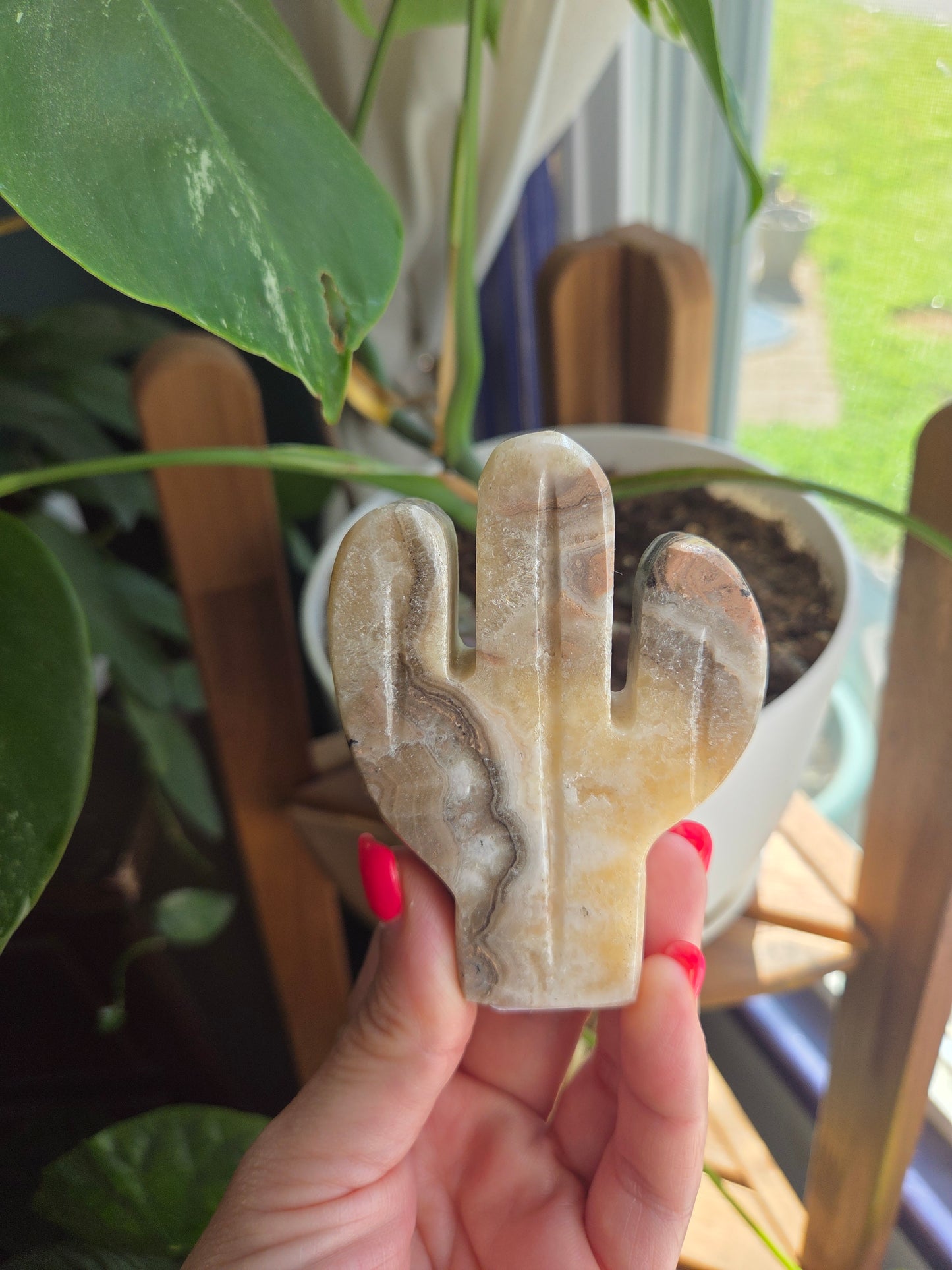 Calcite Cactus 🌵