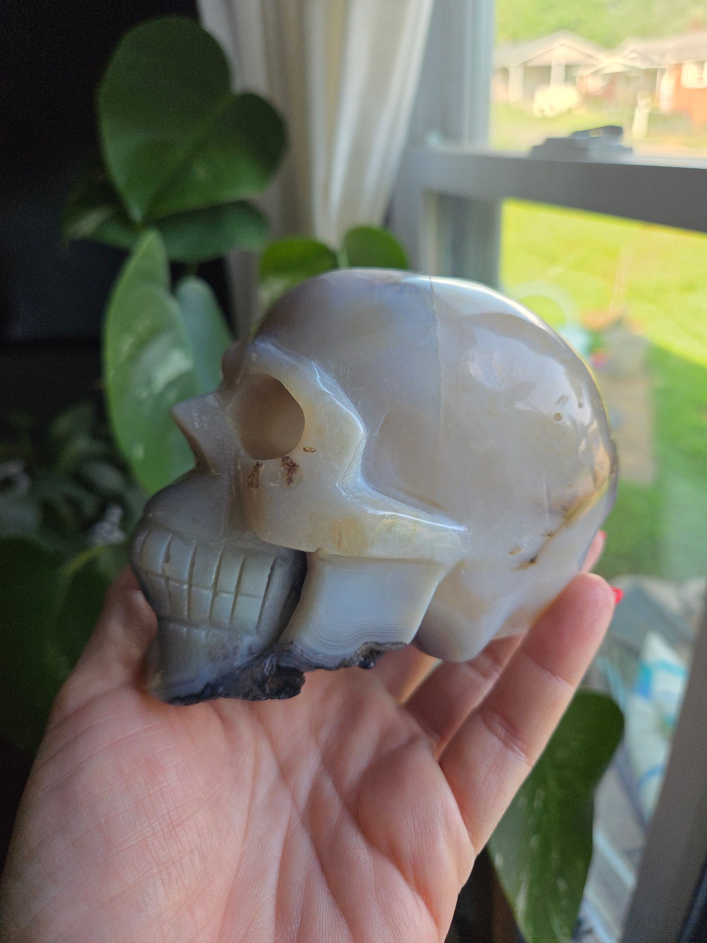Dendritic Agate Skull