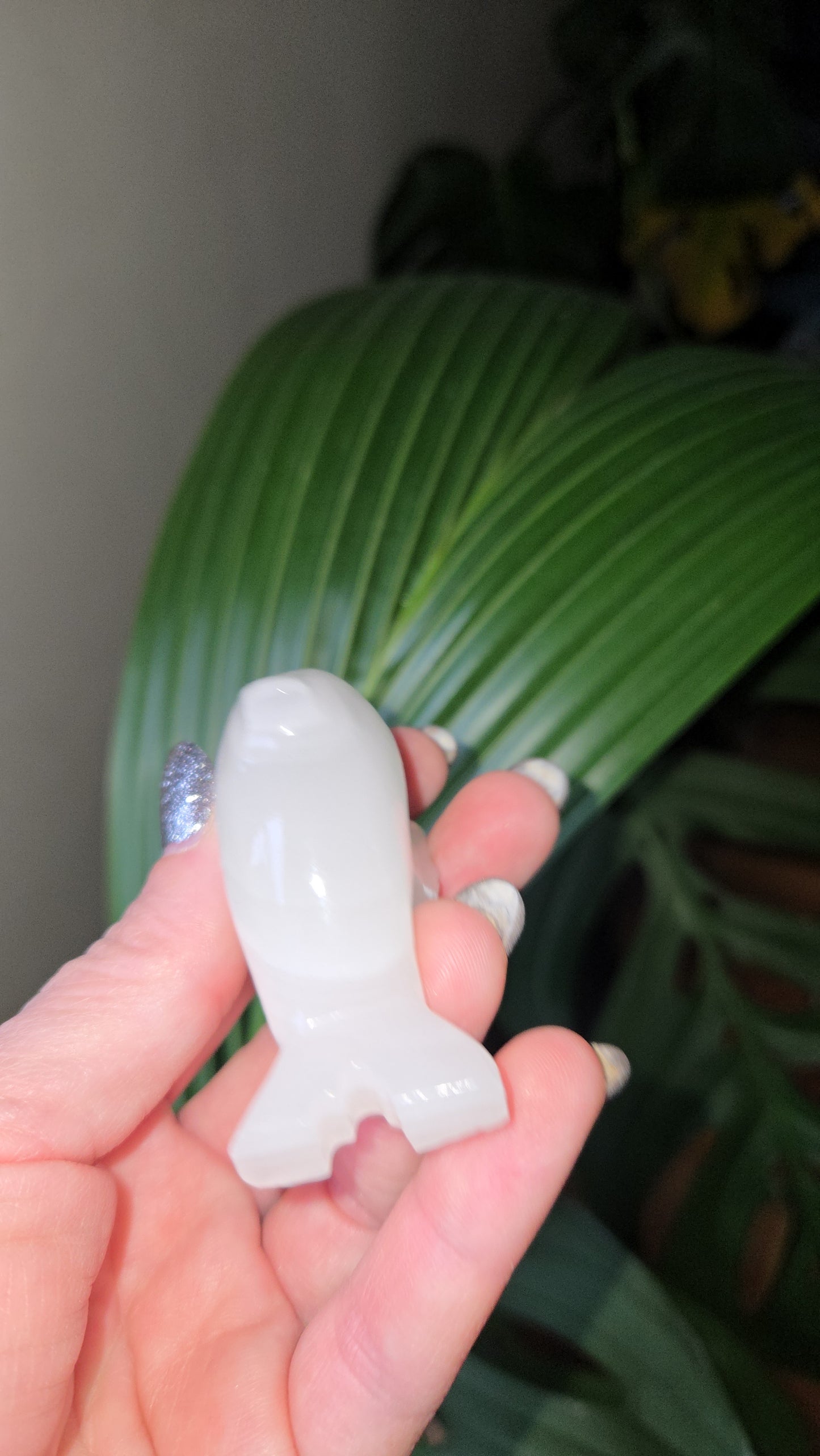 Onyx Dolphin