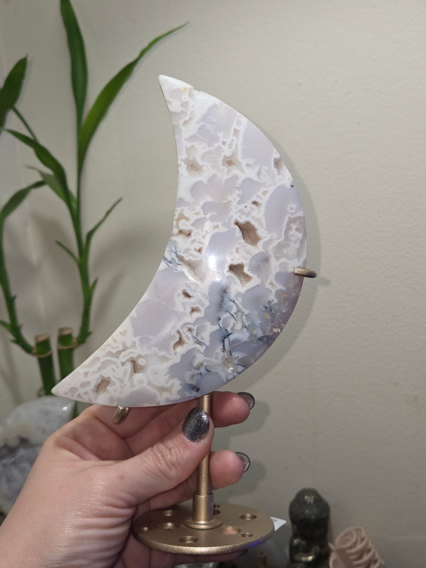 Comment to Claim Shayleen Sharpe 2 of 3