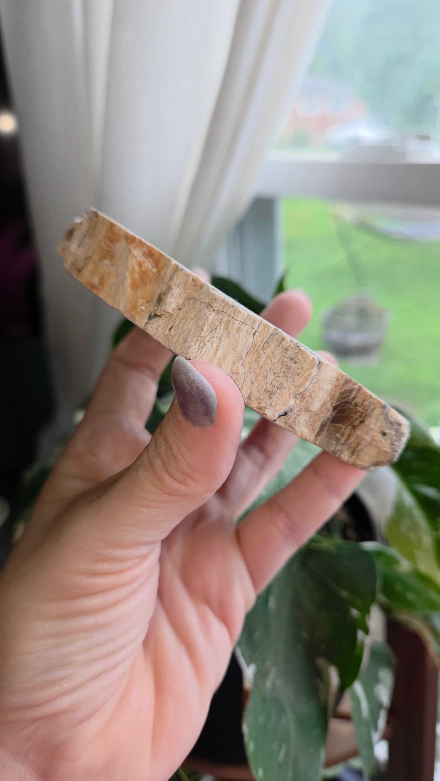 Petrified Wood Sphere Holder (15b)