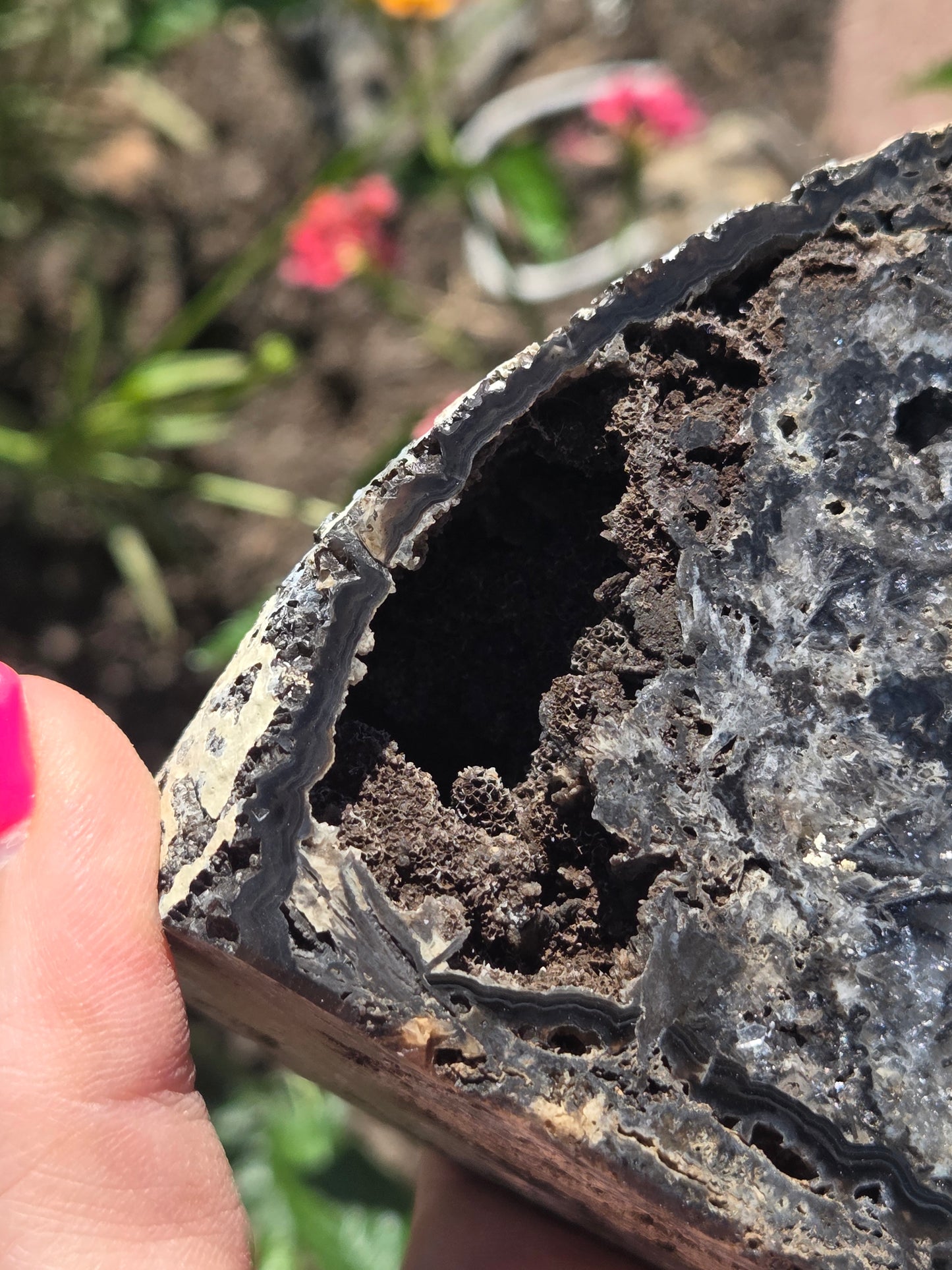 Black Agate Geode with Exposed Rutile