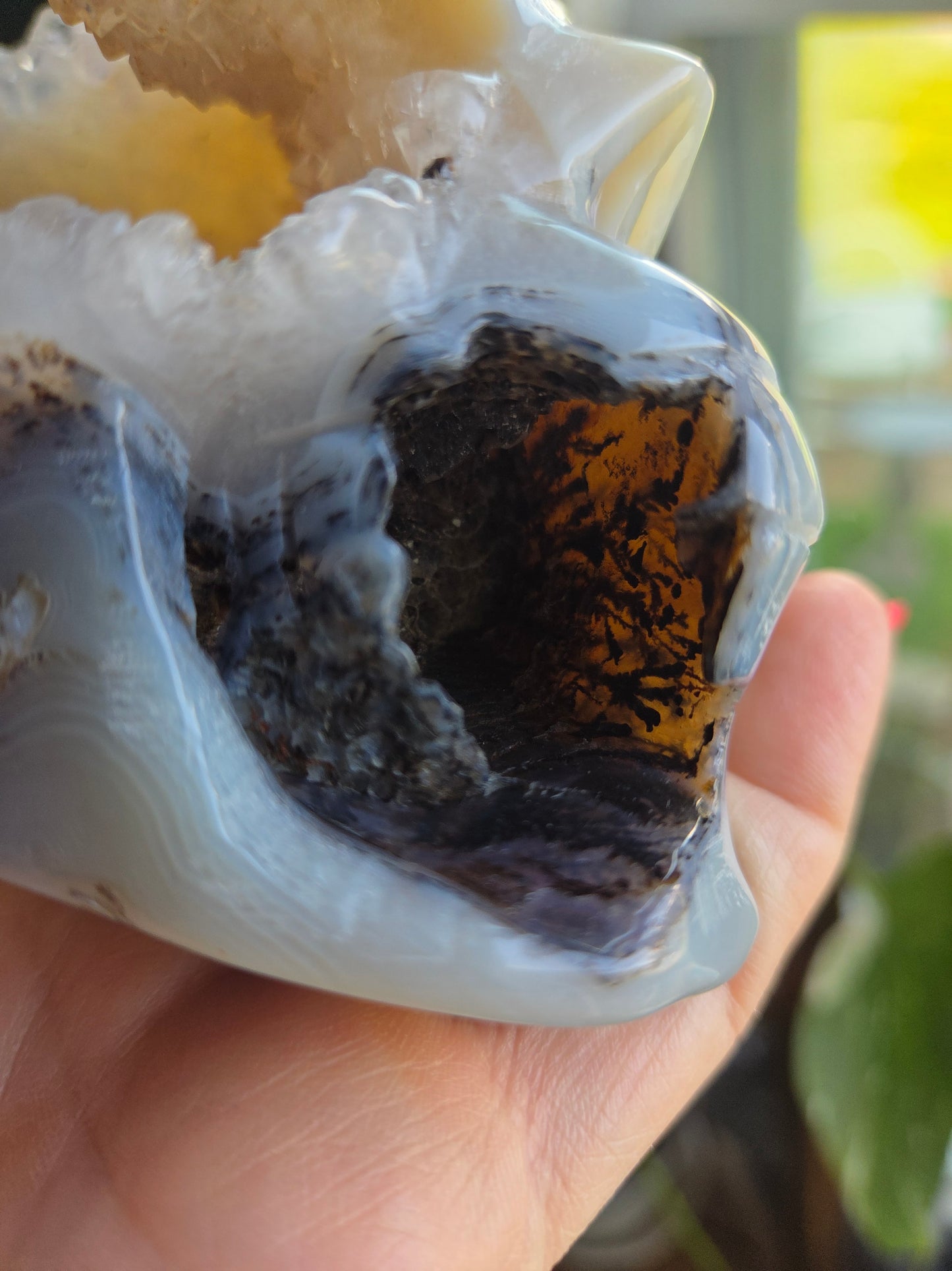 Dendritic Agate Skull