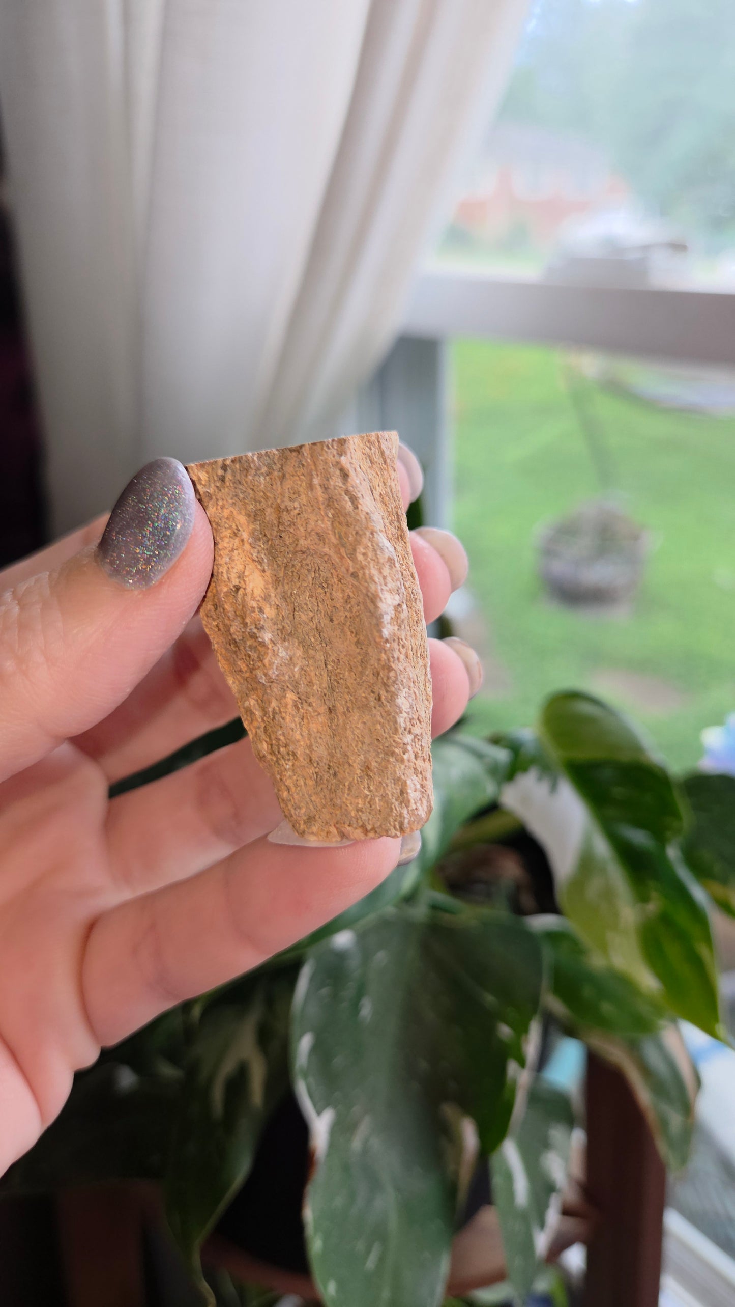 Petrified Wood Log (10t)