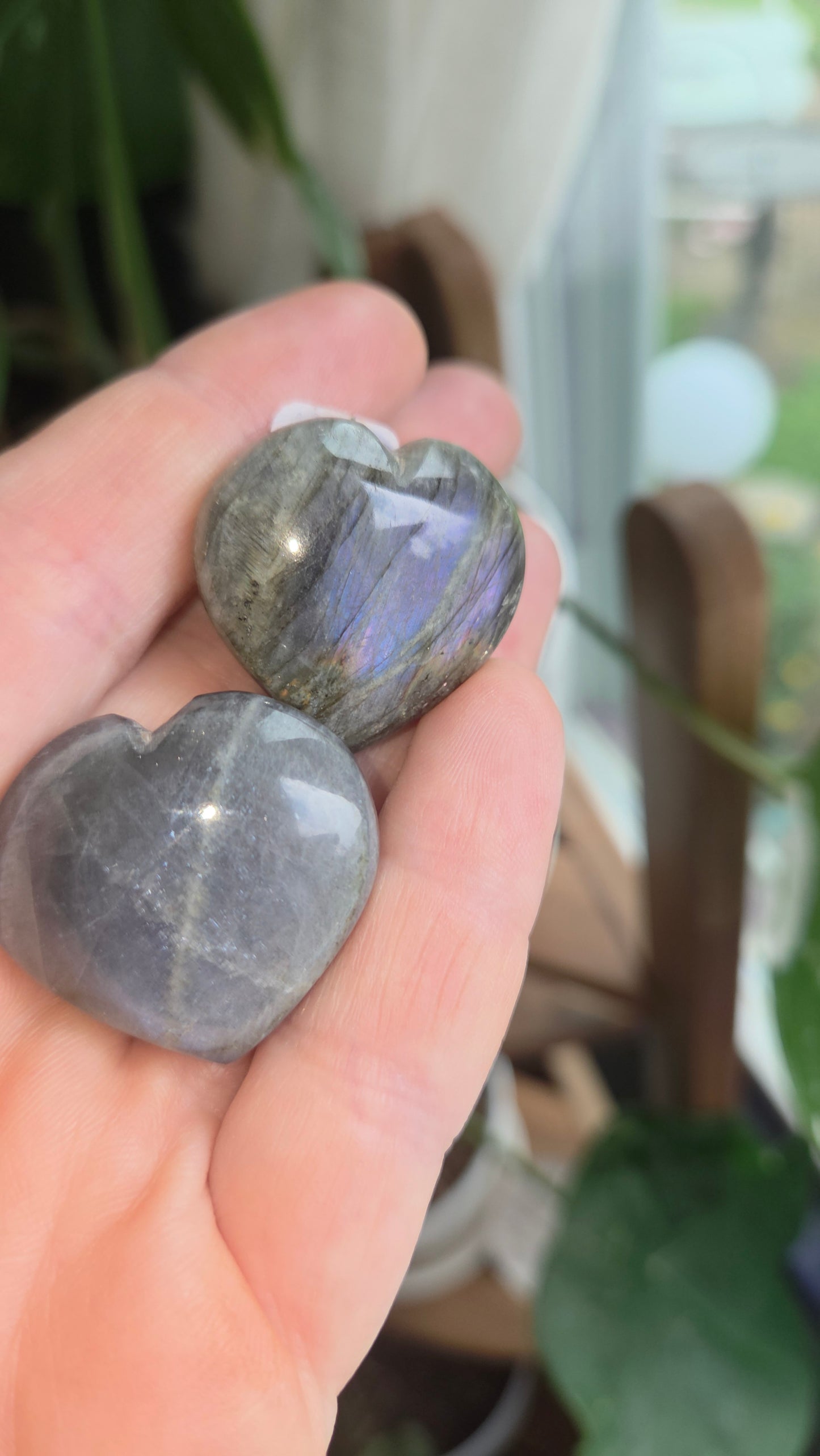 Lab Heart 💜