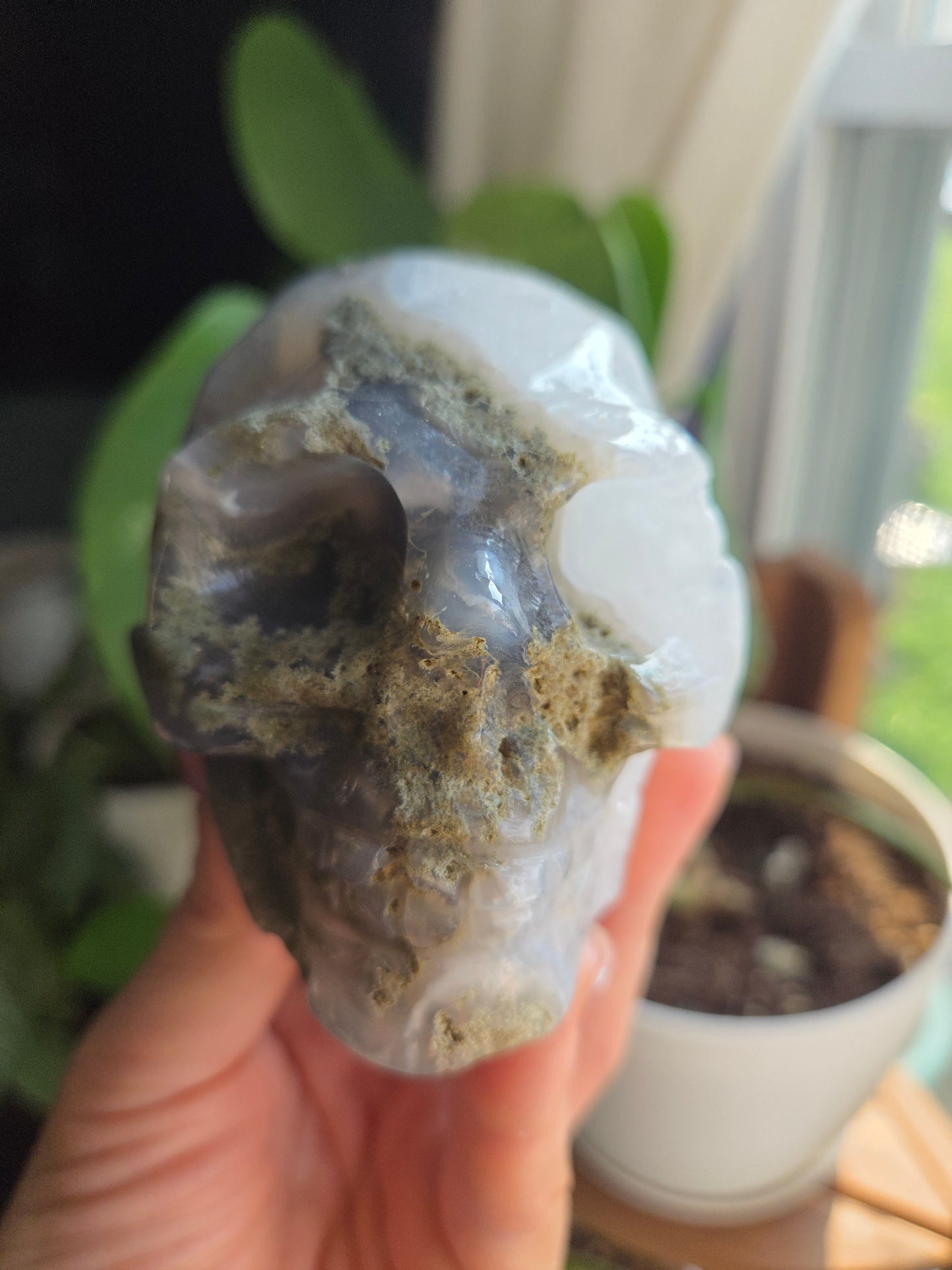 Moss Skull