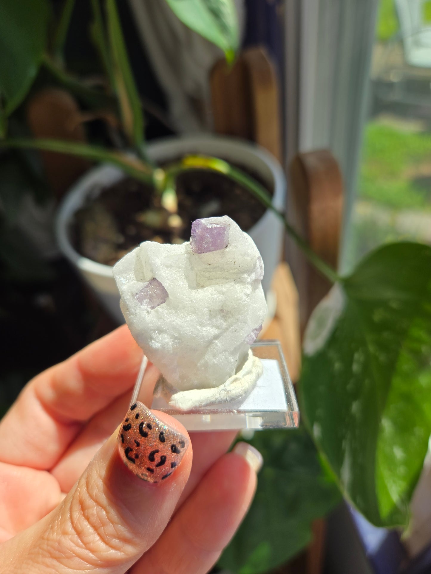 Scapolite on Calcite