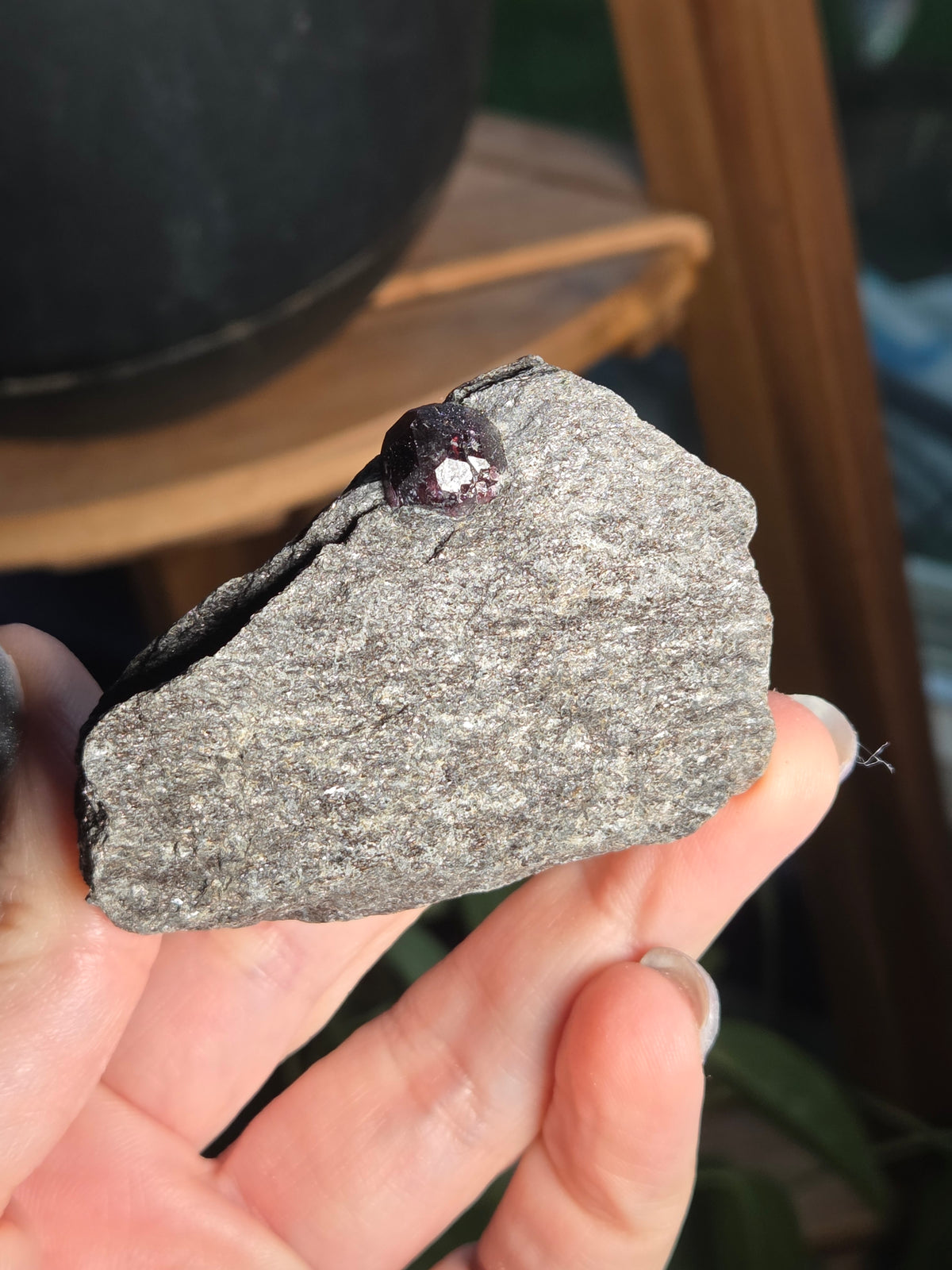 Alaskan Garnet