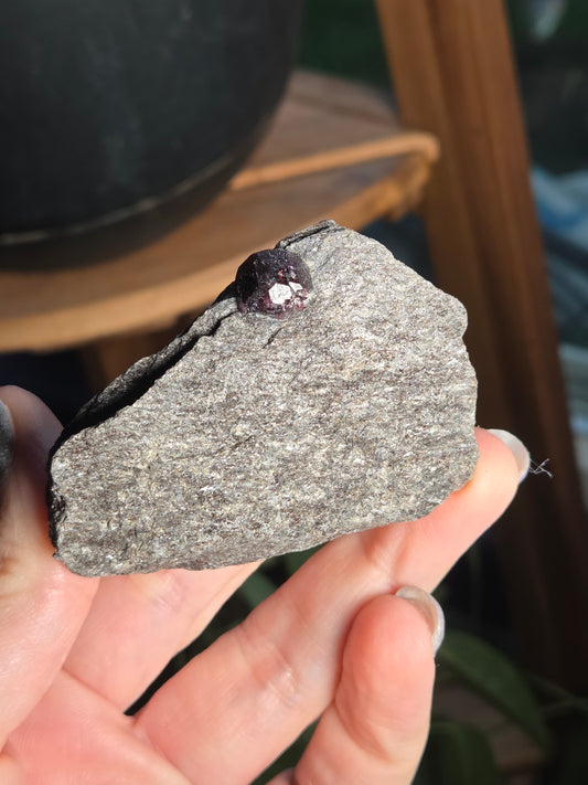 Alaskan Garnet