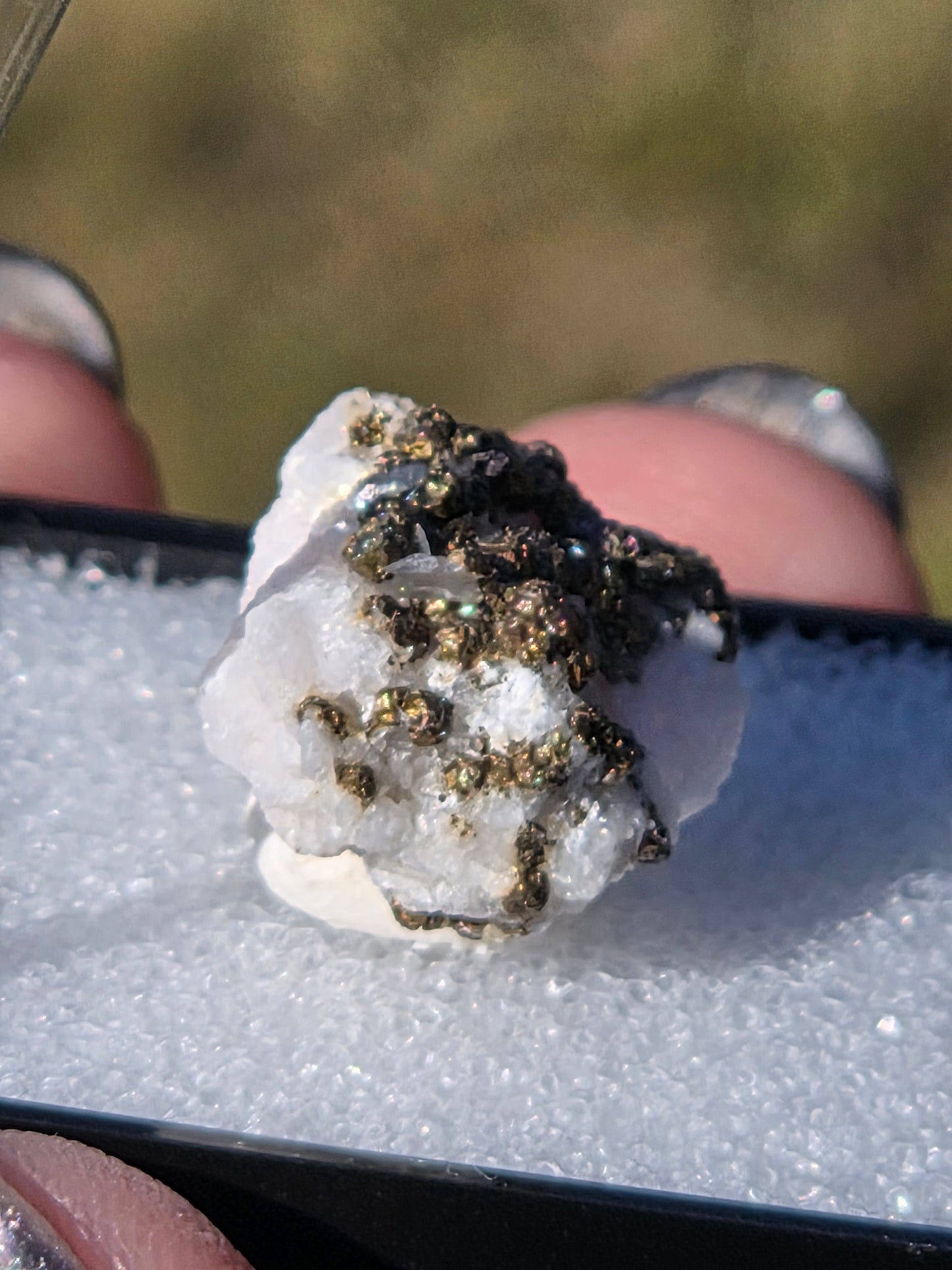 Calcite/ Pyrite from China Perky Box