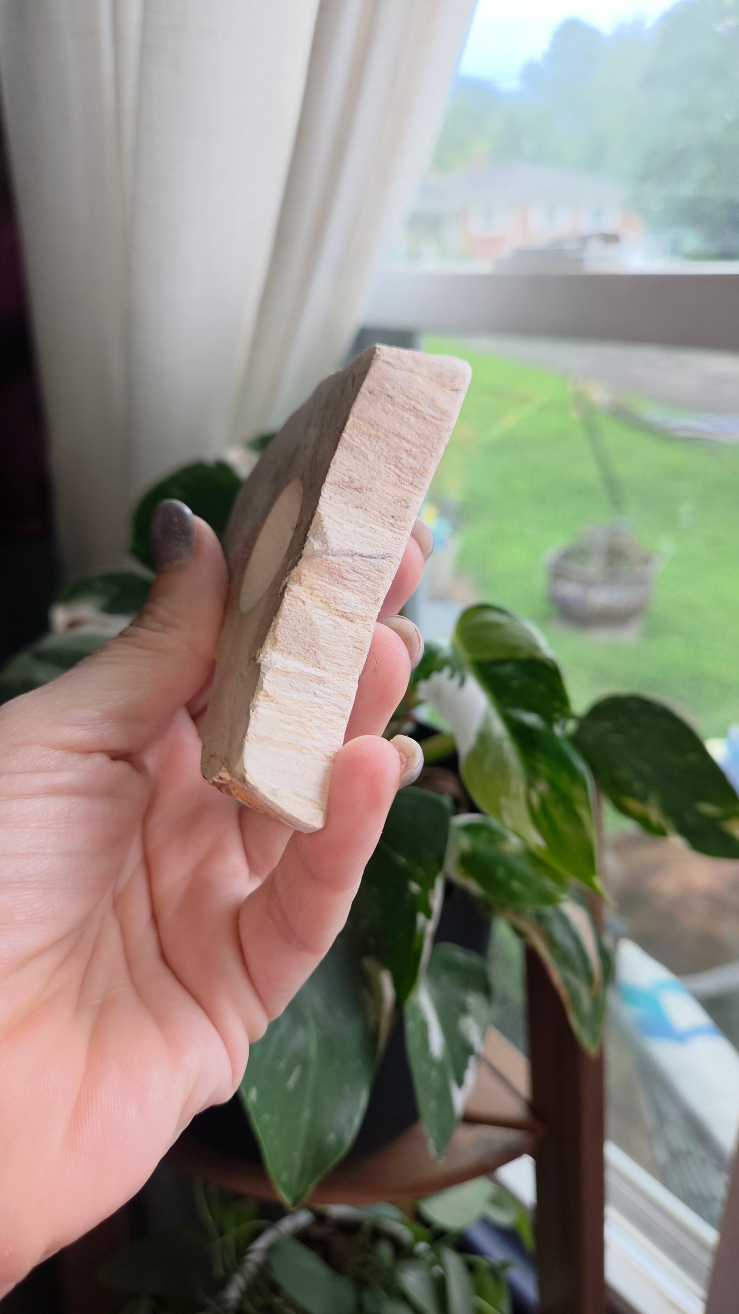 Petrified Wood Sphere Holder (12b)