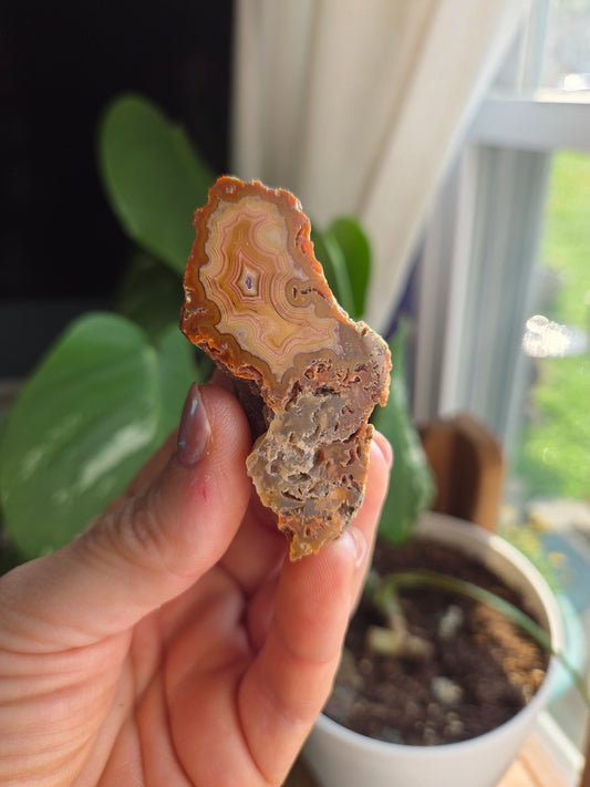 Laguna Agate
