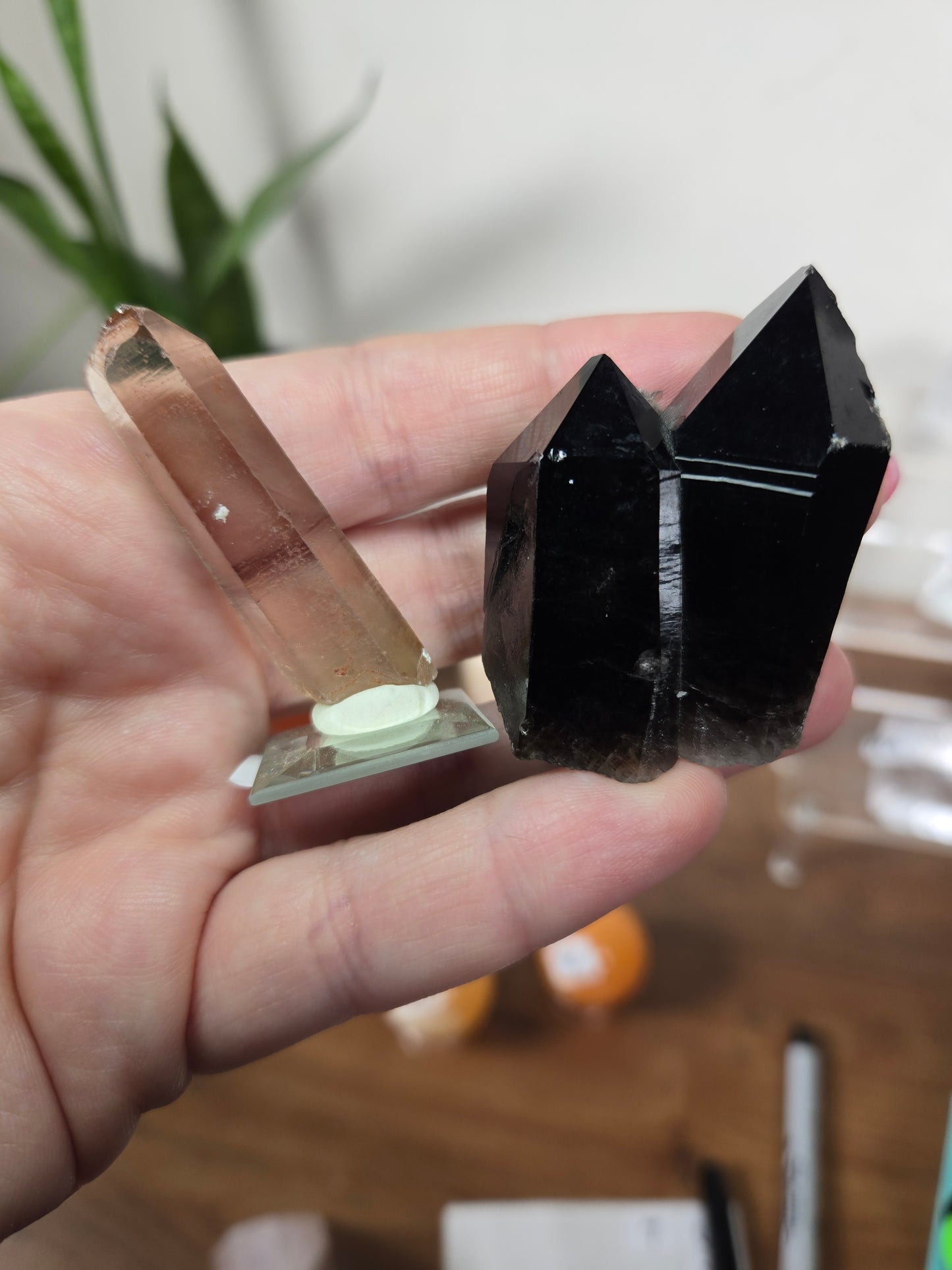 Live Sale thestarr141