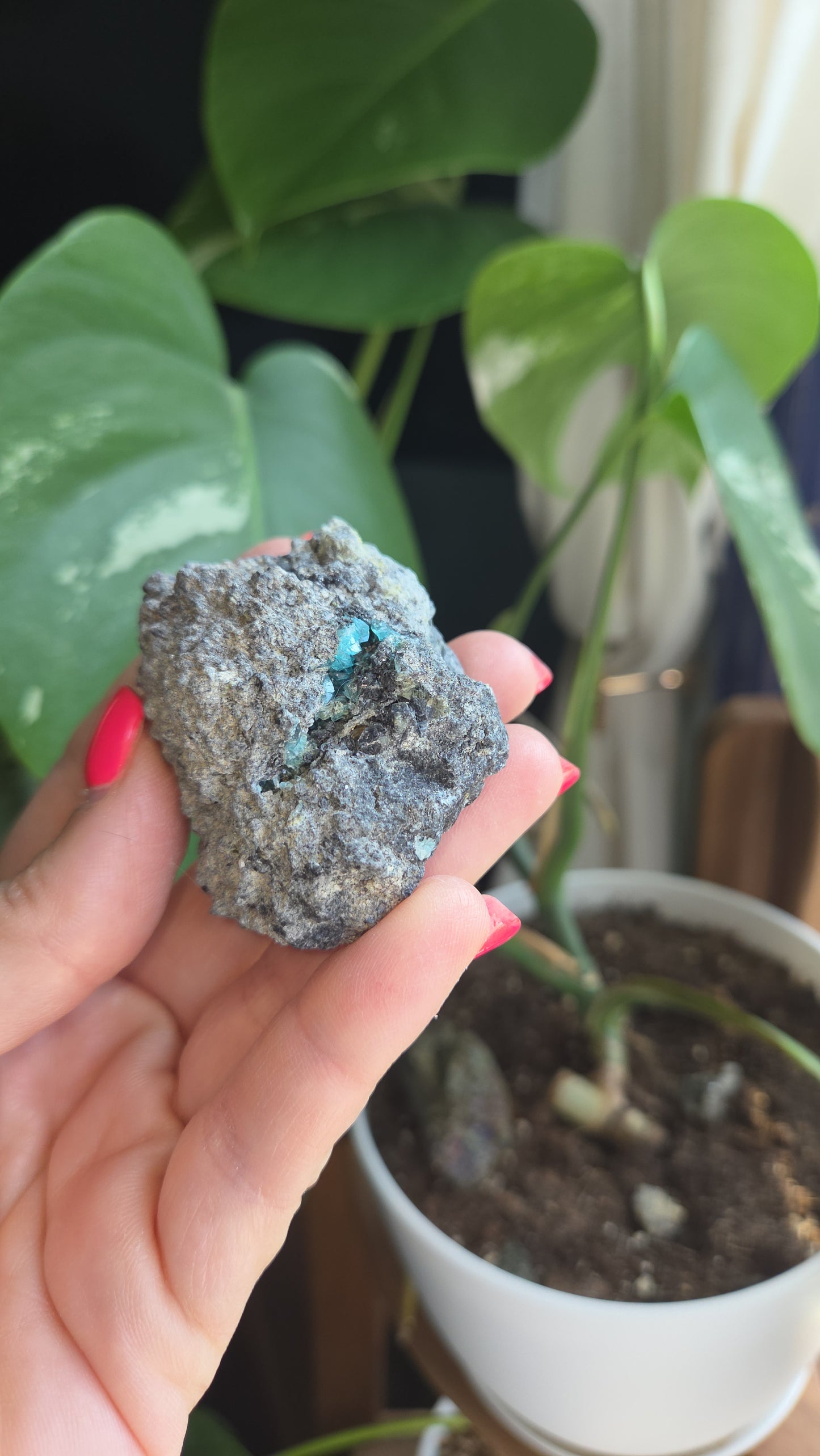 Borcarite