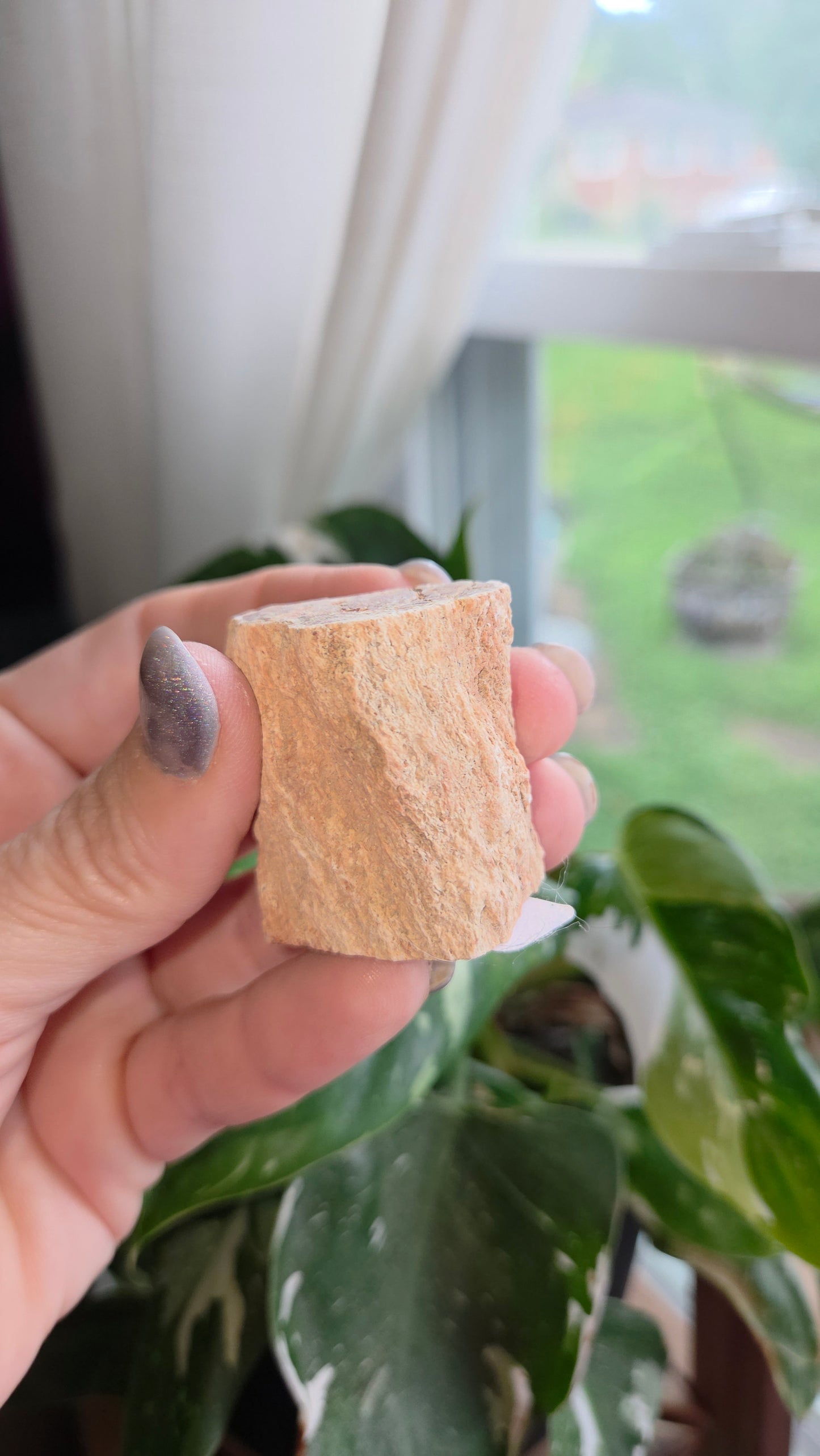 Petrified Wood Log (5)