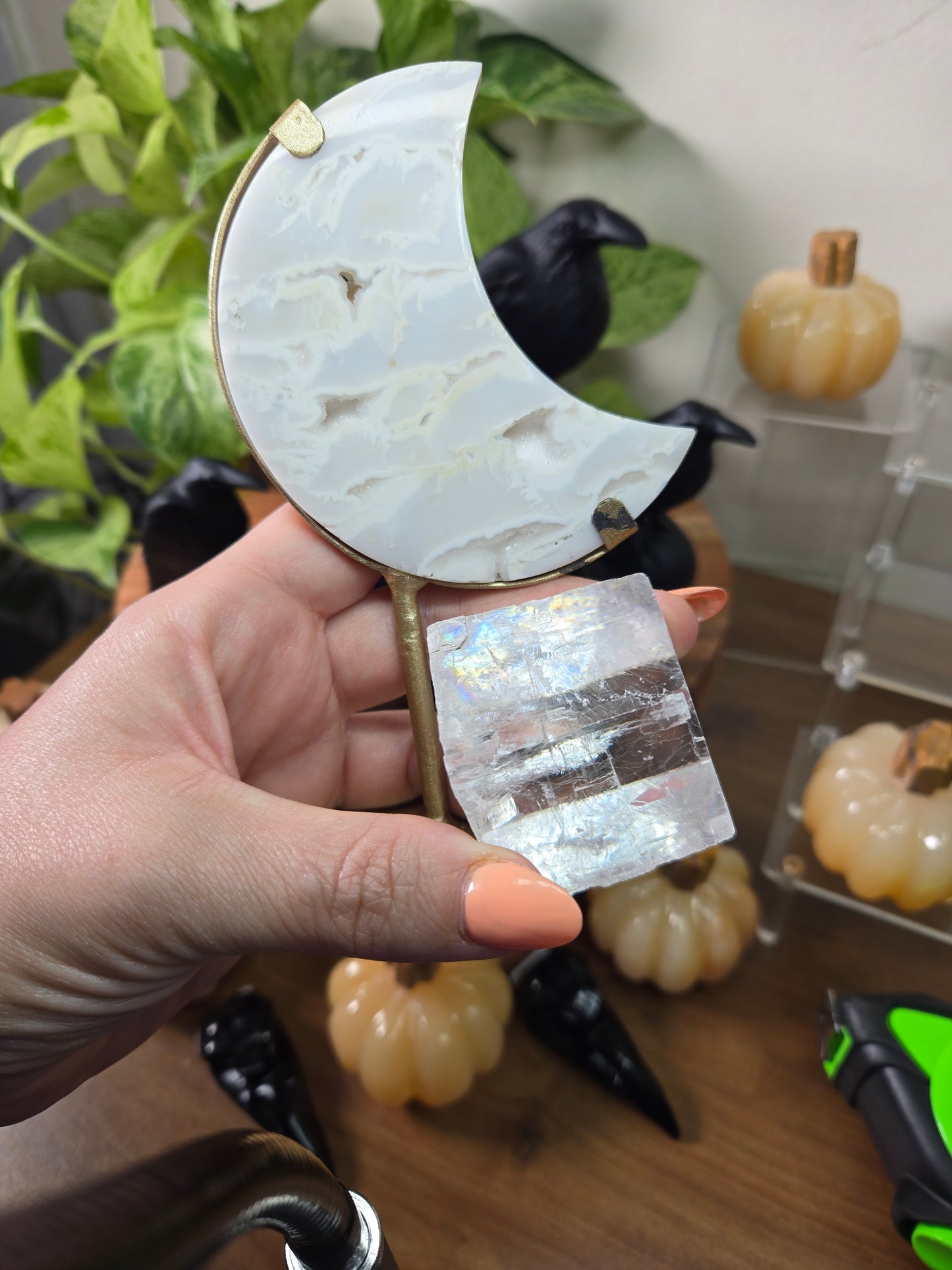 Live Sale thestarr141