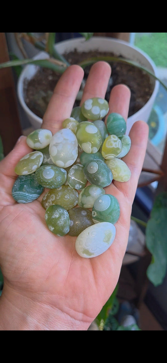 Green Gobi Agate Tumbles