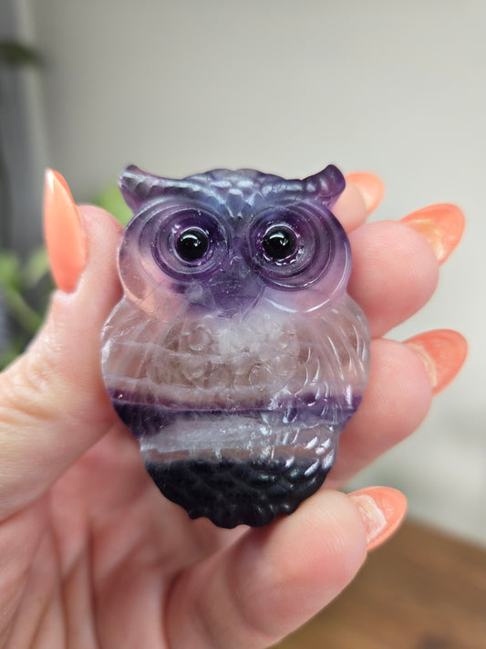 Fluorite Owls
