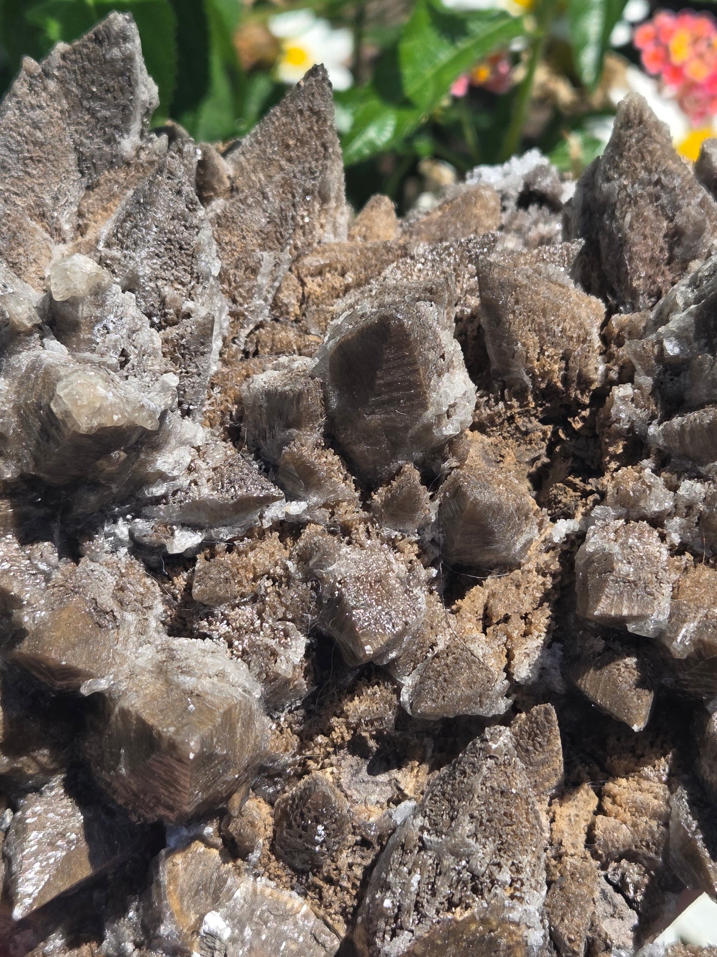 Dogtooth Calcite with Secondary Selenite Coating (Mexico)
