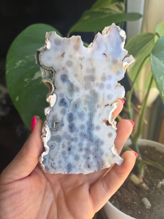 OJ slab (8th vein)