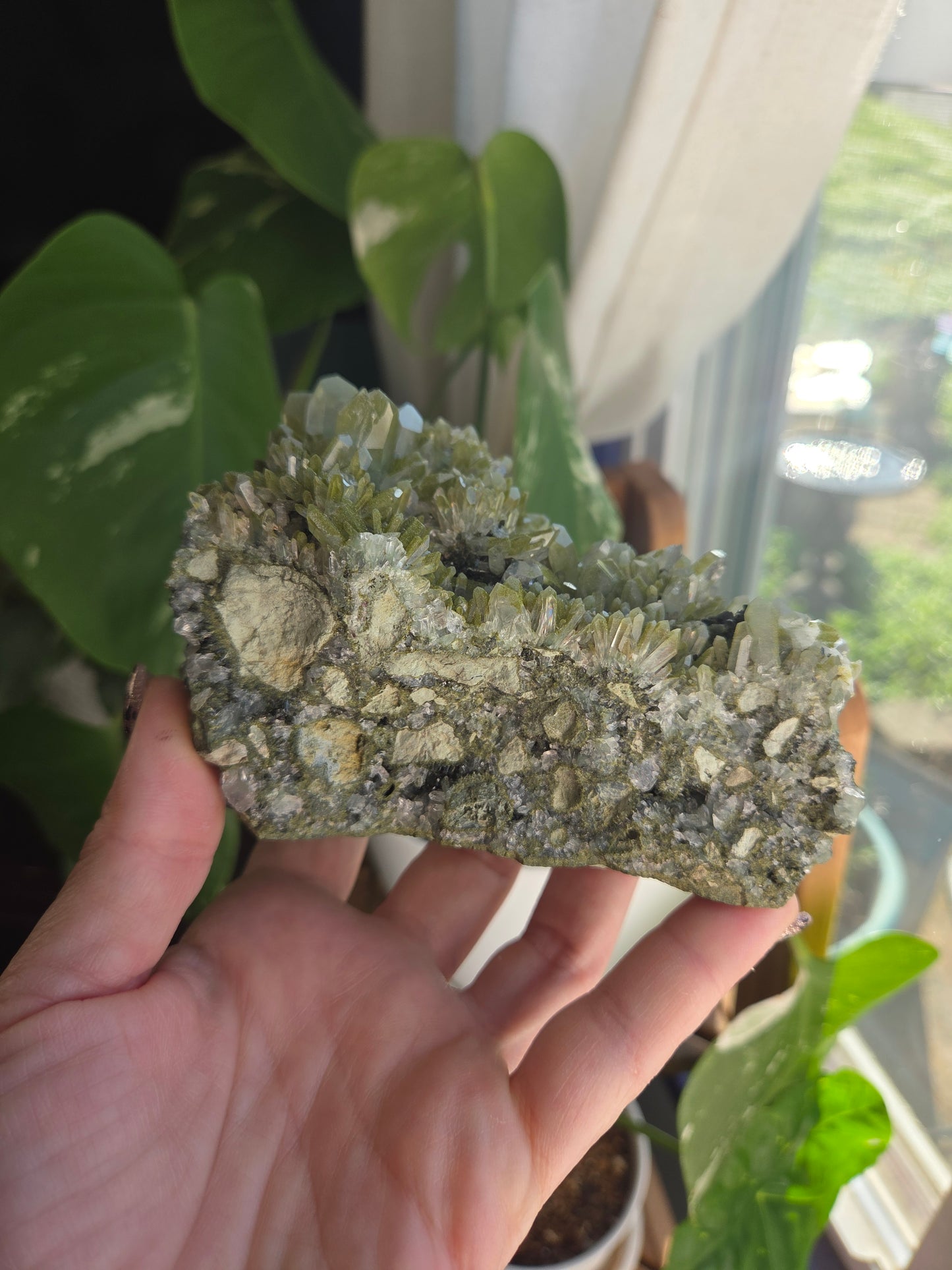 Chlorite Quartz and Epidote Dragon Head