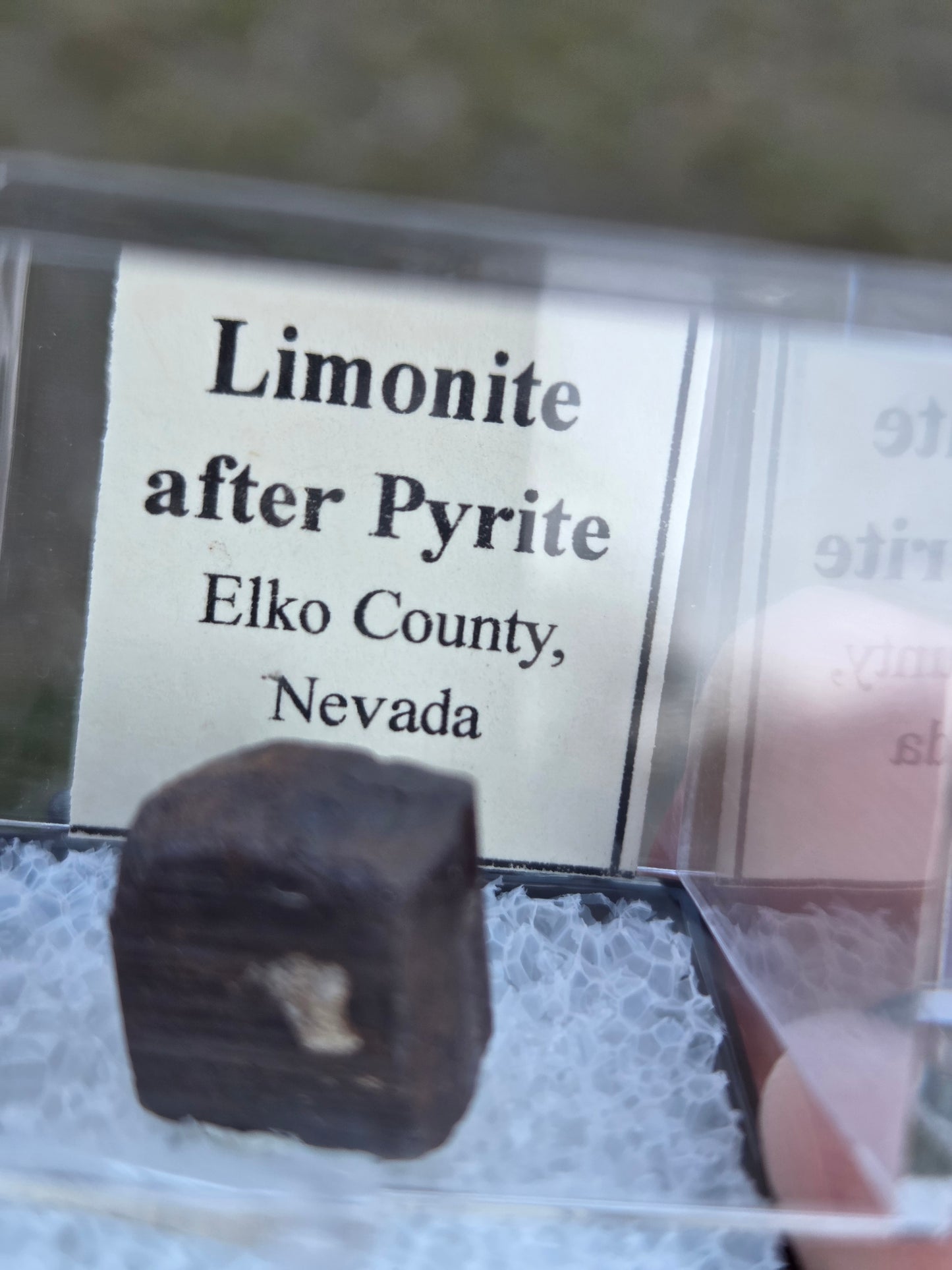 Limonite after Pyrite PerkyBox