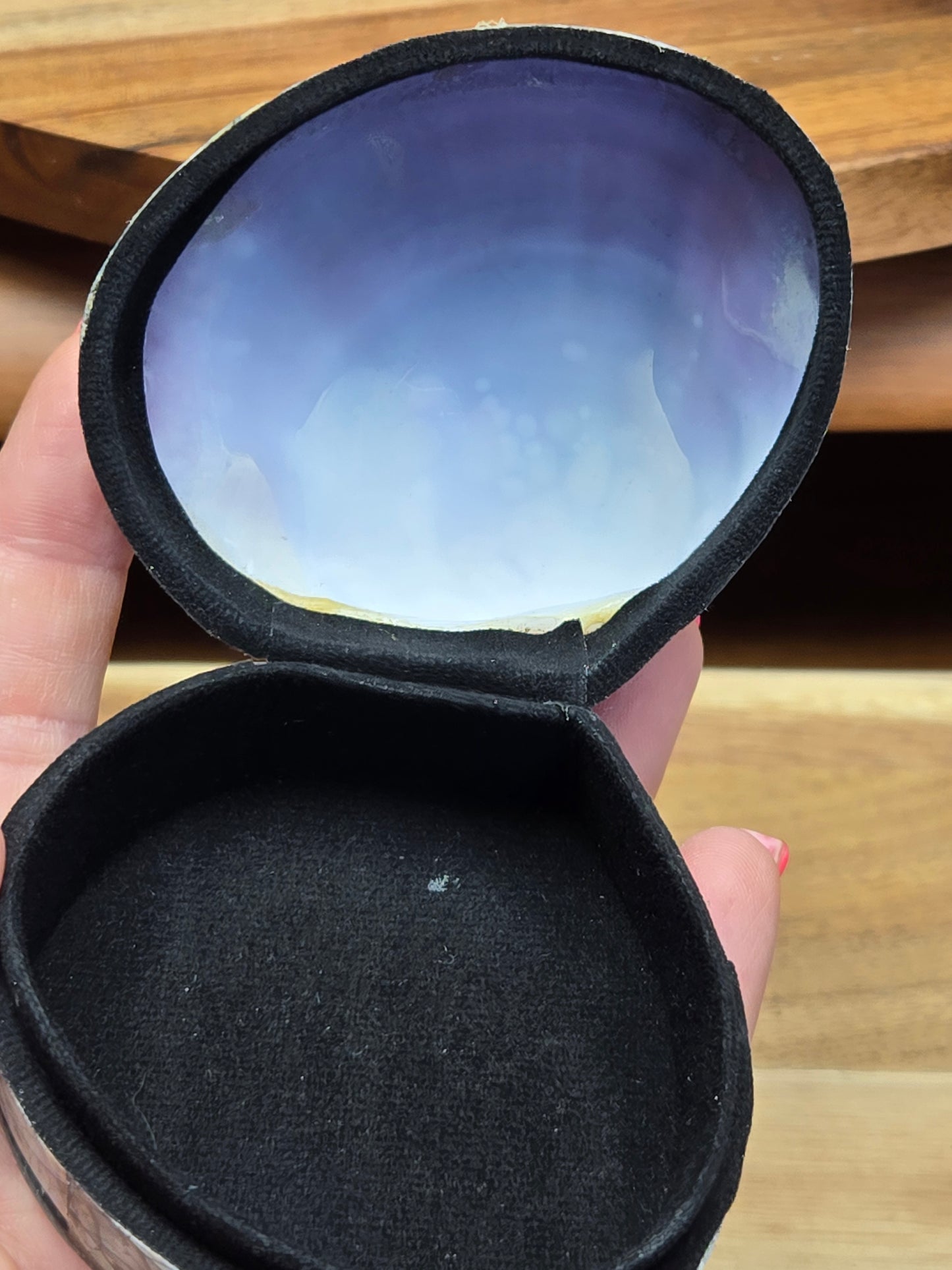 Purple Shell / Abalone Shell 🐚 Box