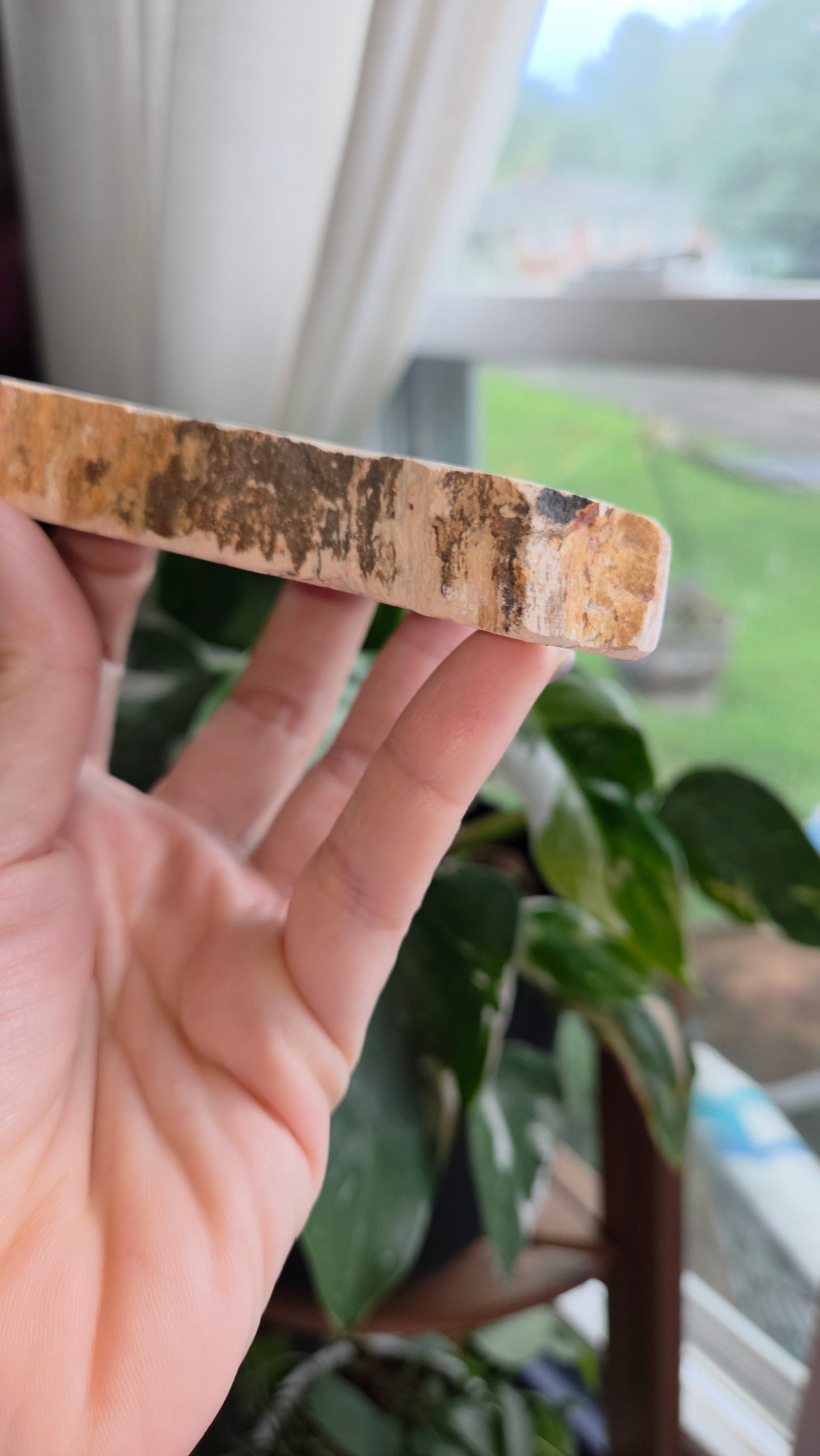 Petrified Wood Sphere Holder (12b)