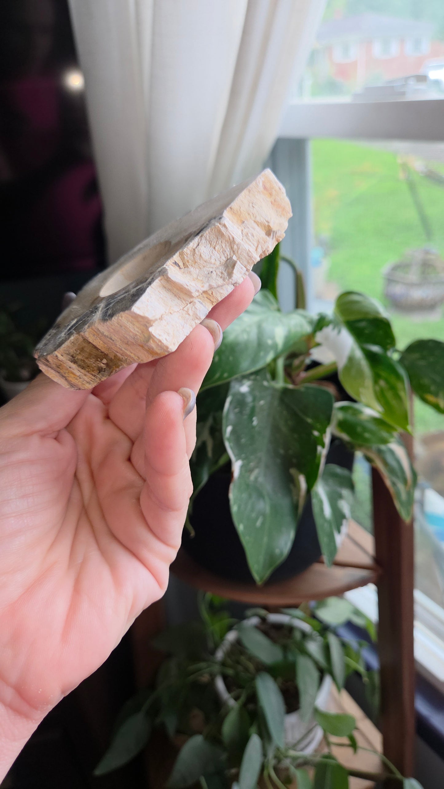 Petrified Wood Sphere Holder (12e)