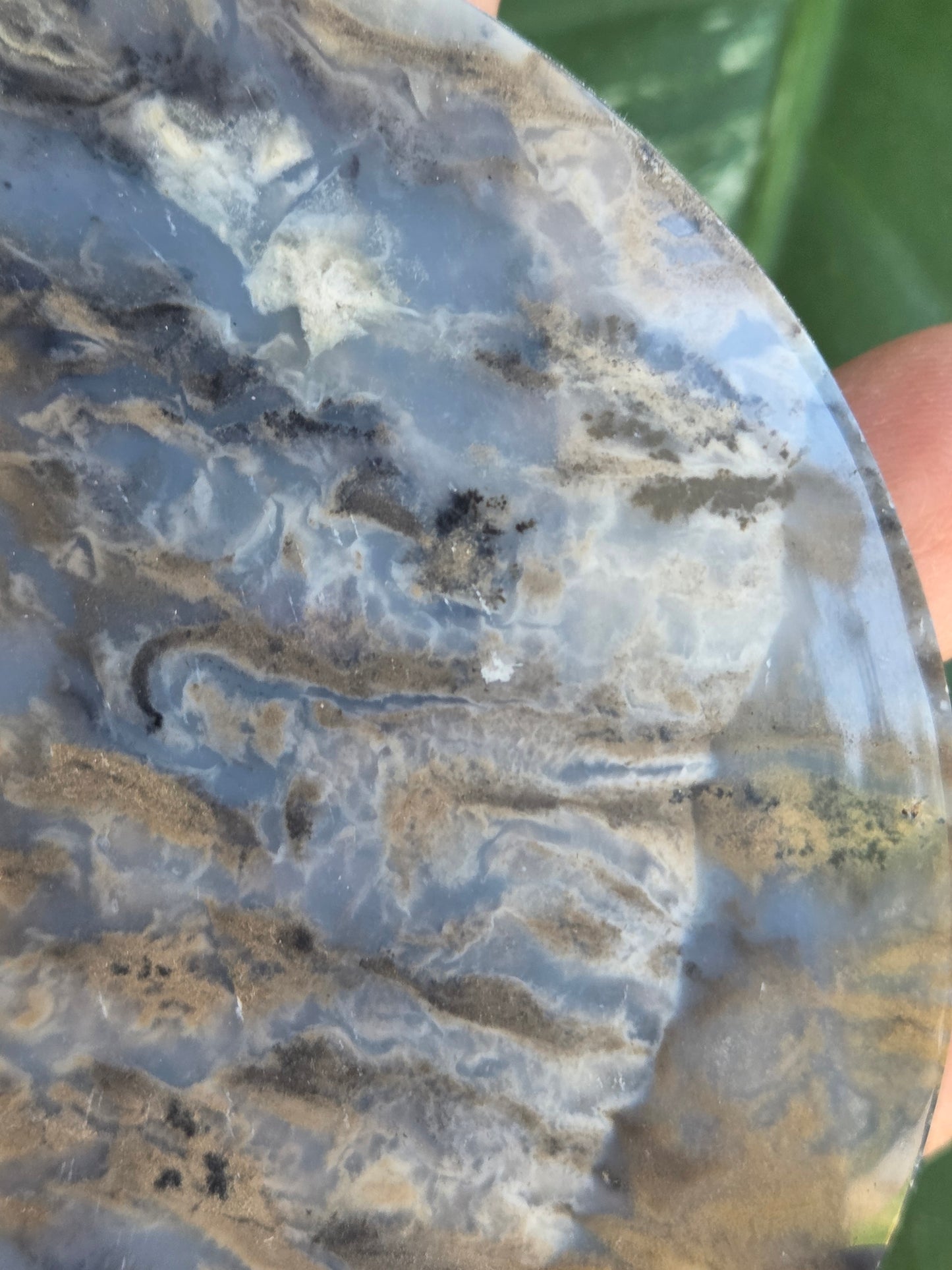 Dendritic Tiger Agate Moon