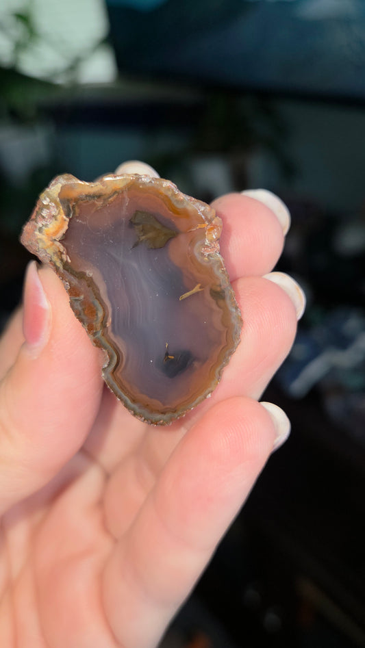 Coyamito Agate Geodes from Mexico