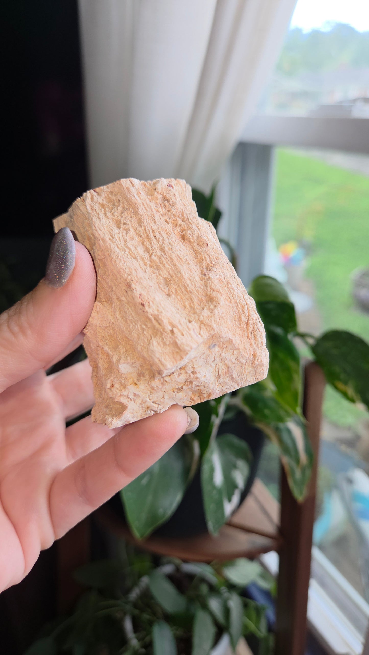 Petrified Wood Log (18b)