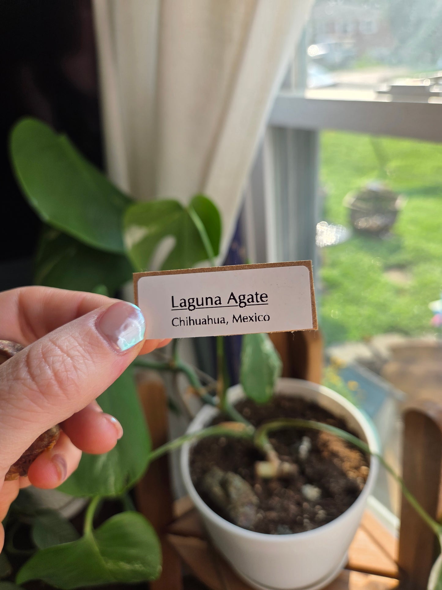 Laguna Agate