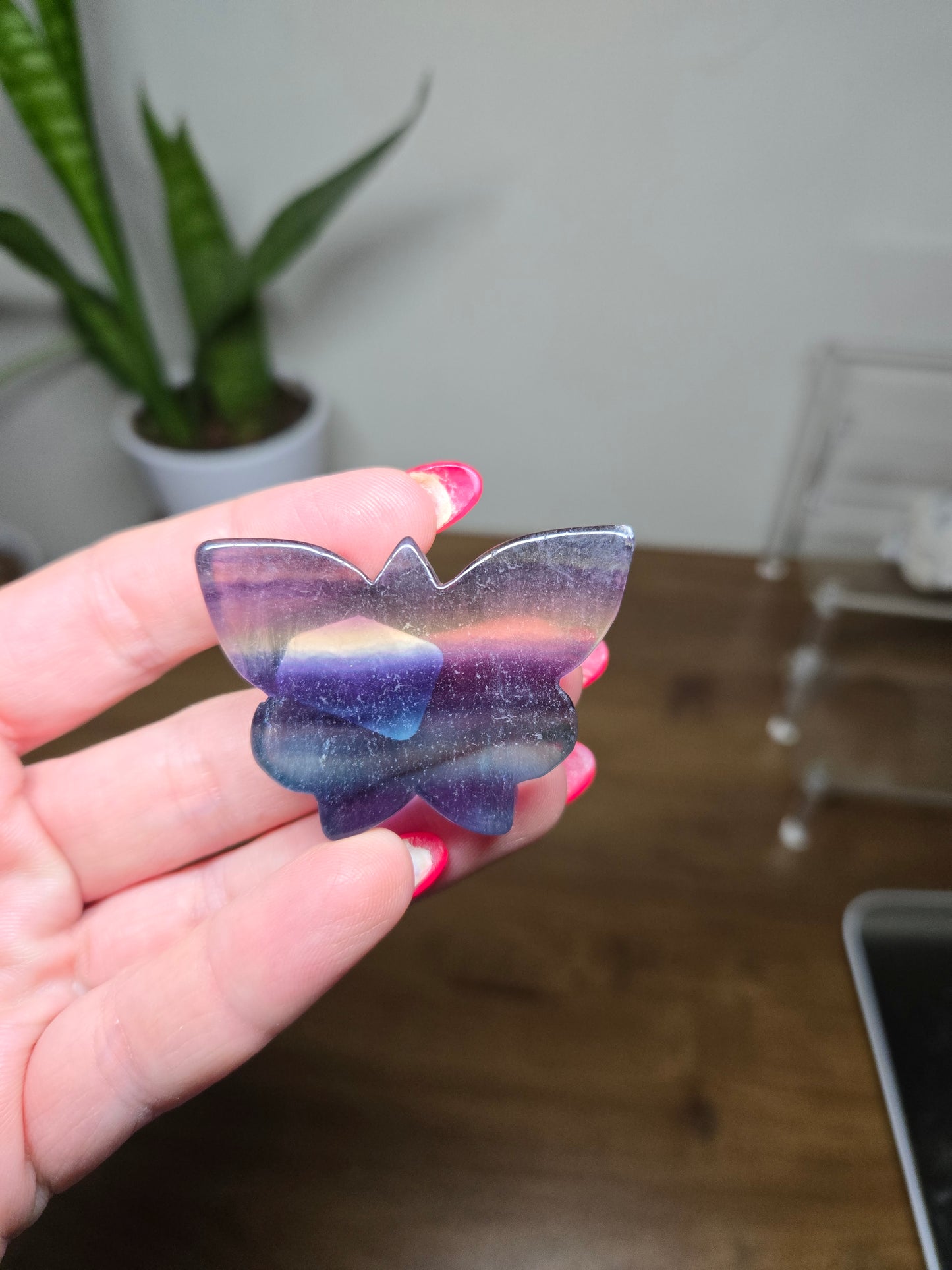 Live Sale thestarr141