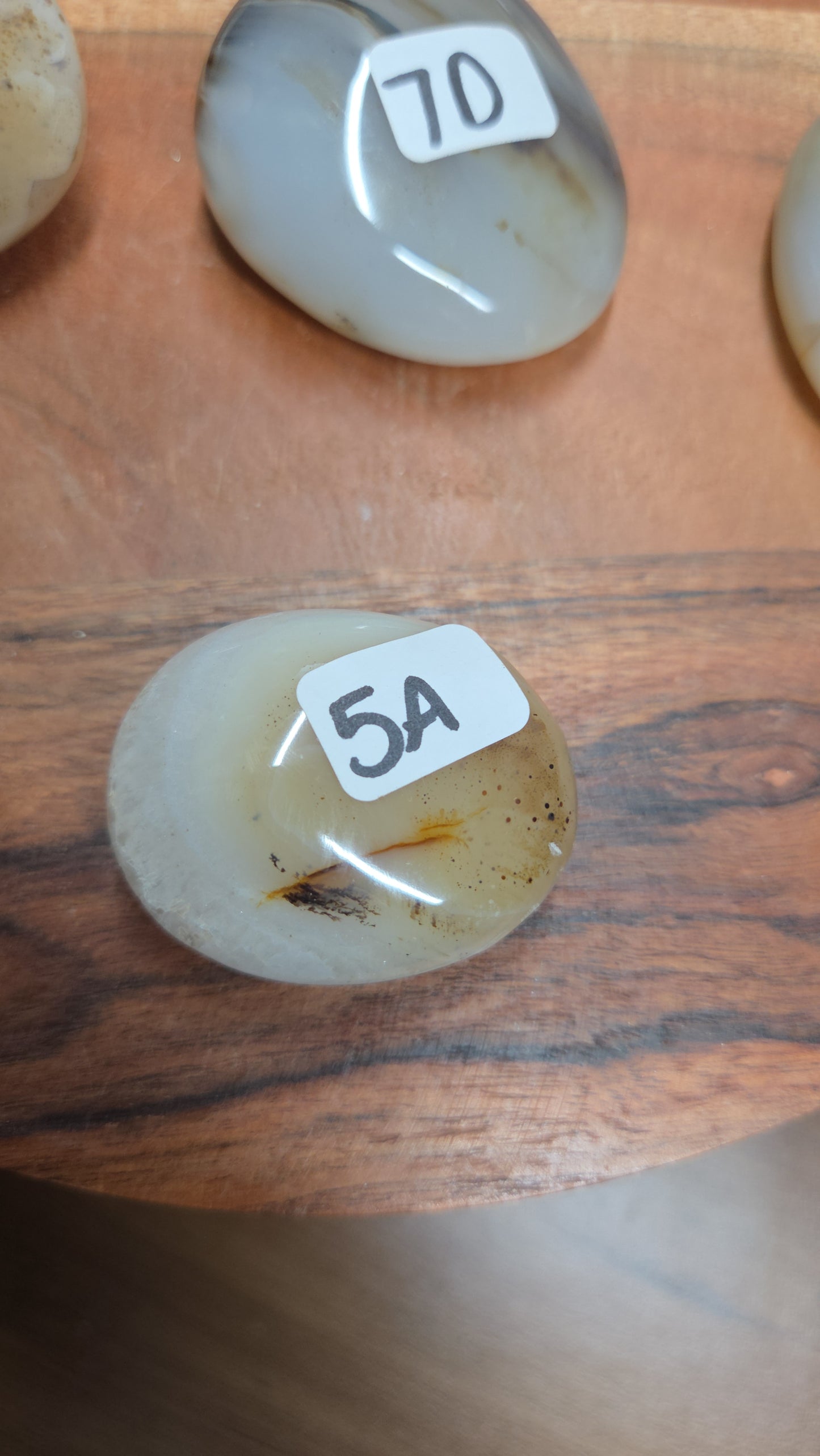 Dendritic Agate Palms