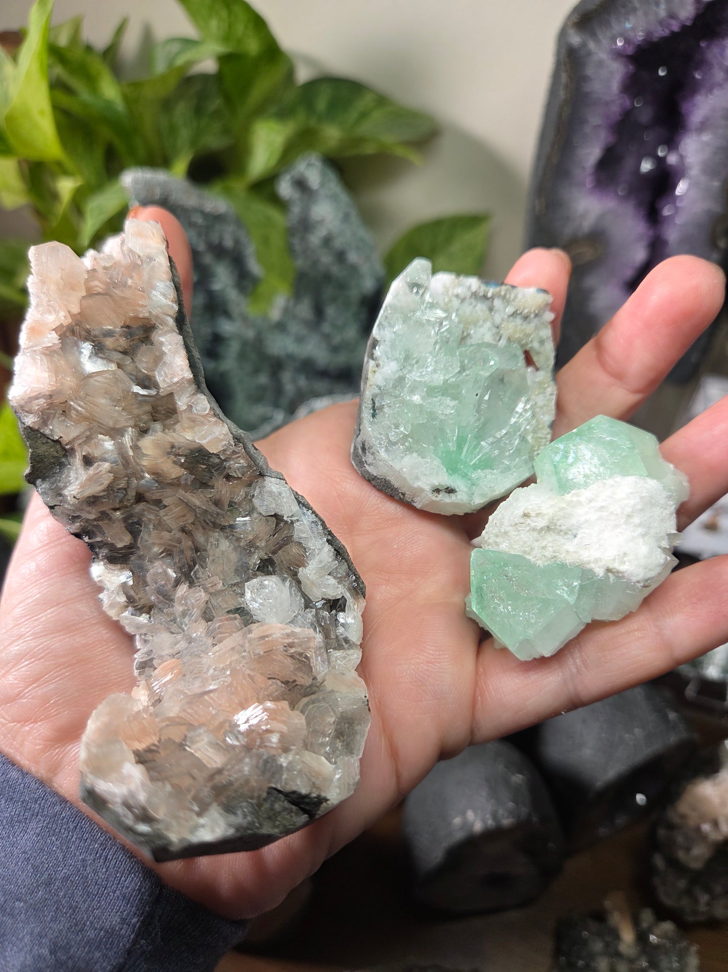 Comment to Claim Jamie