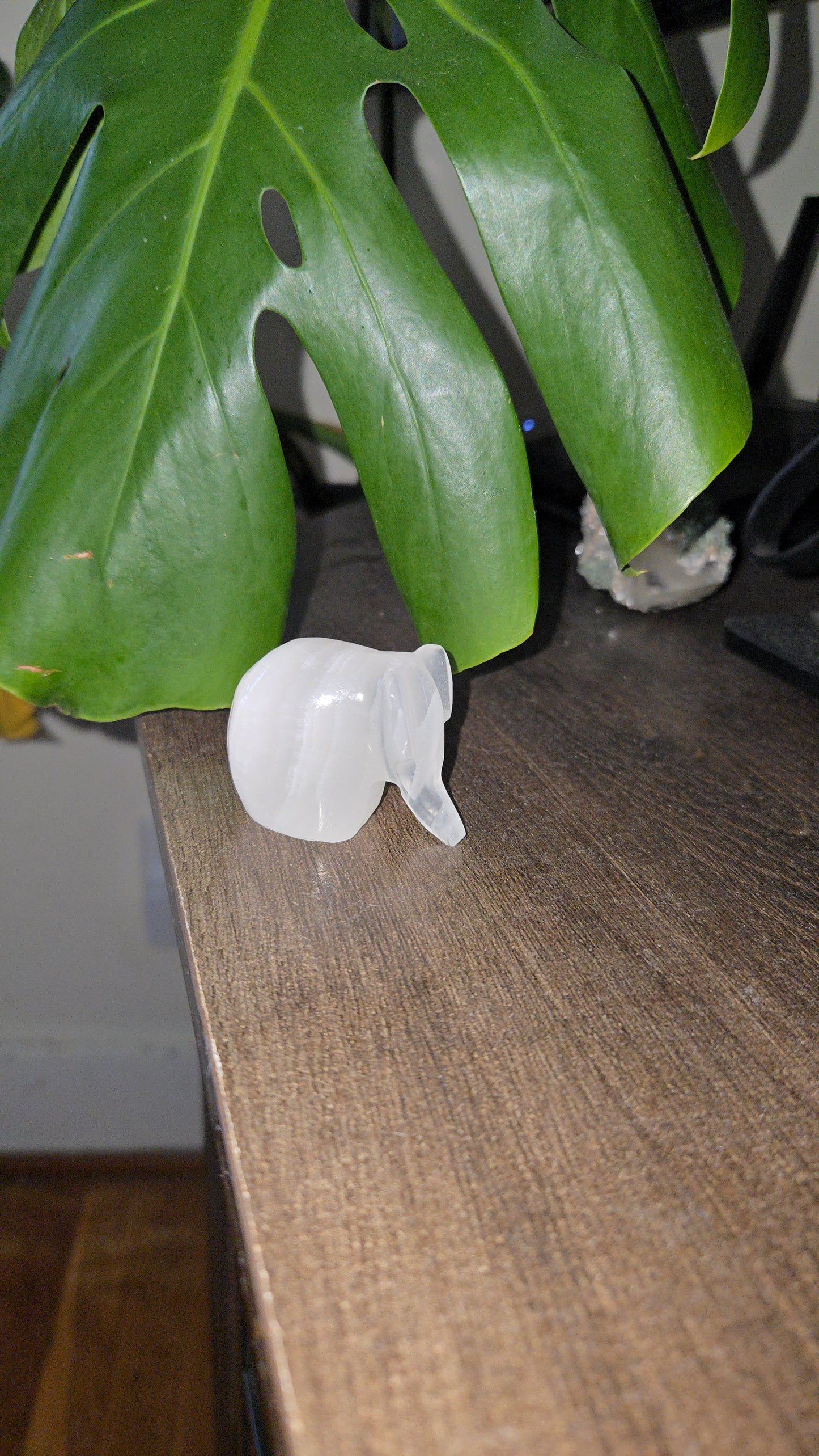 Onyx Elephant