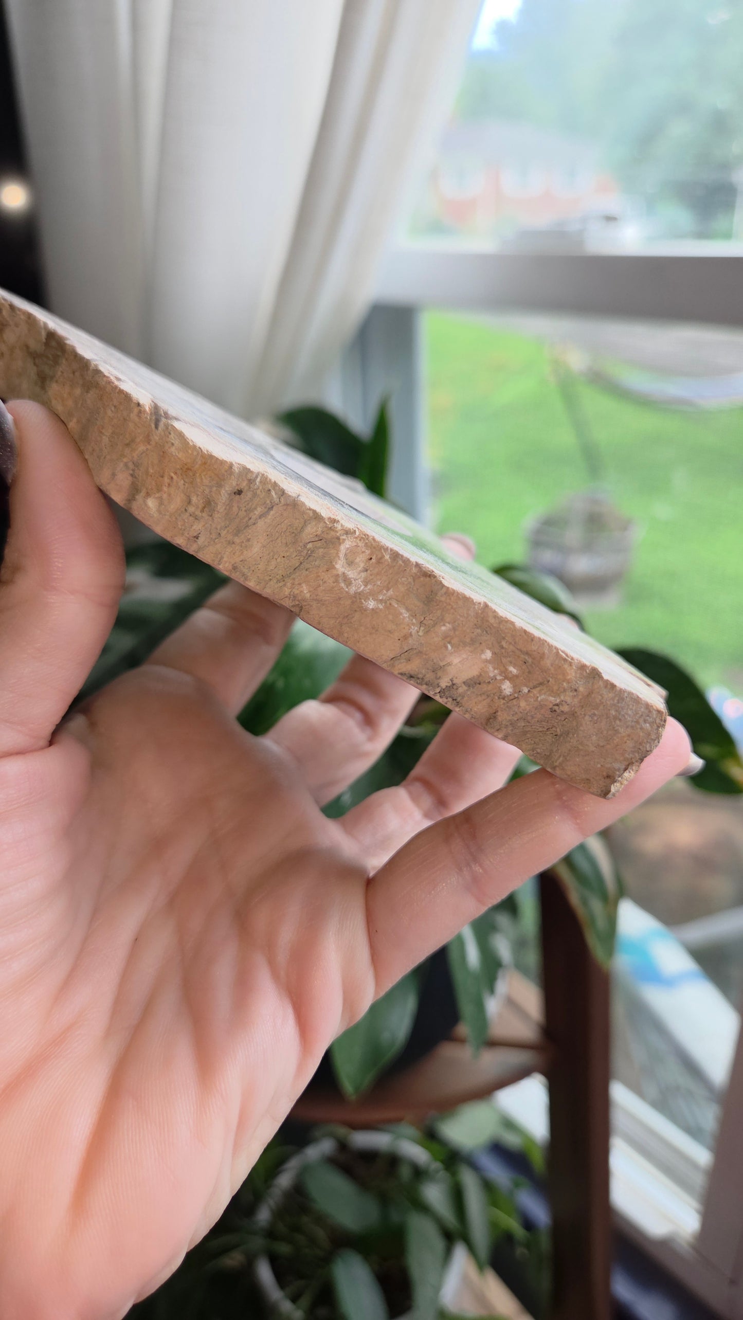 Petrified Wood Sphere Holder (15a)