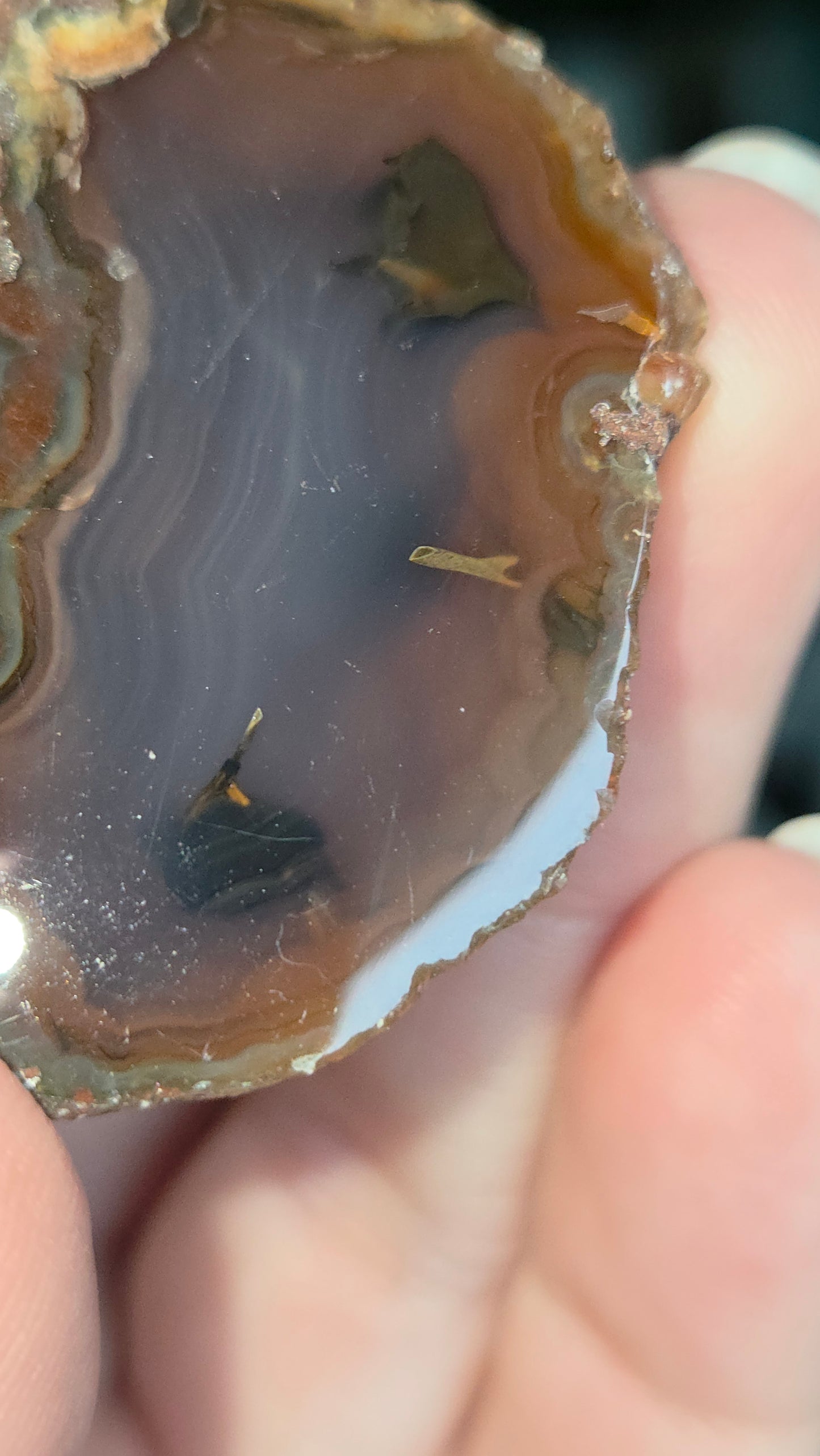 Coyamito Agate Geodes from Mexico