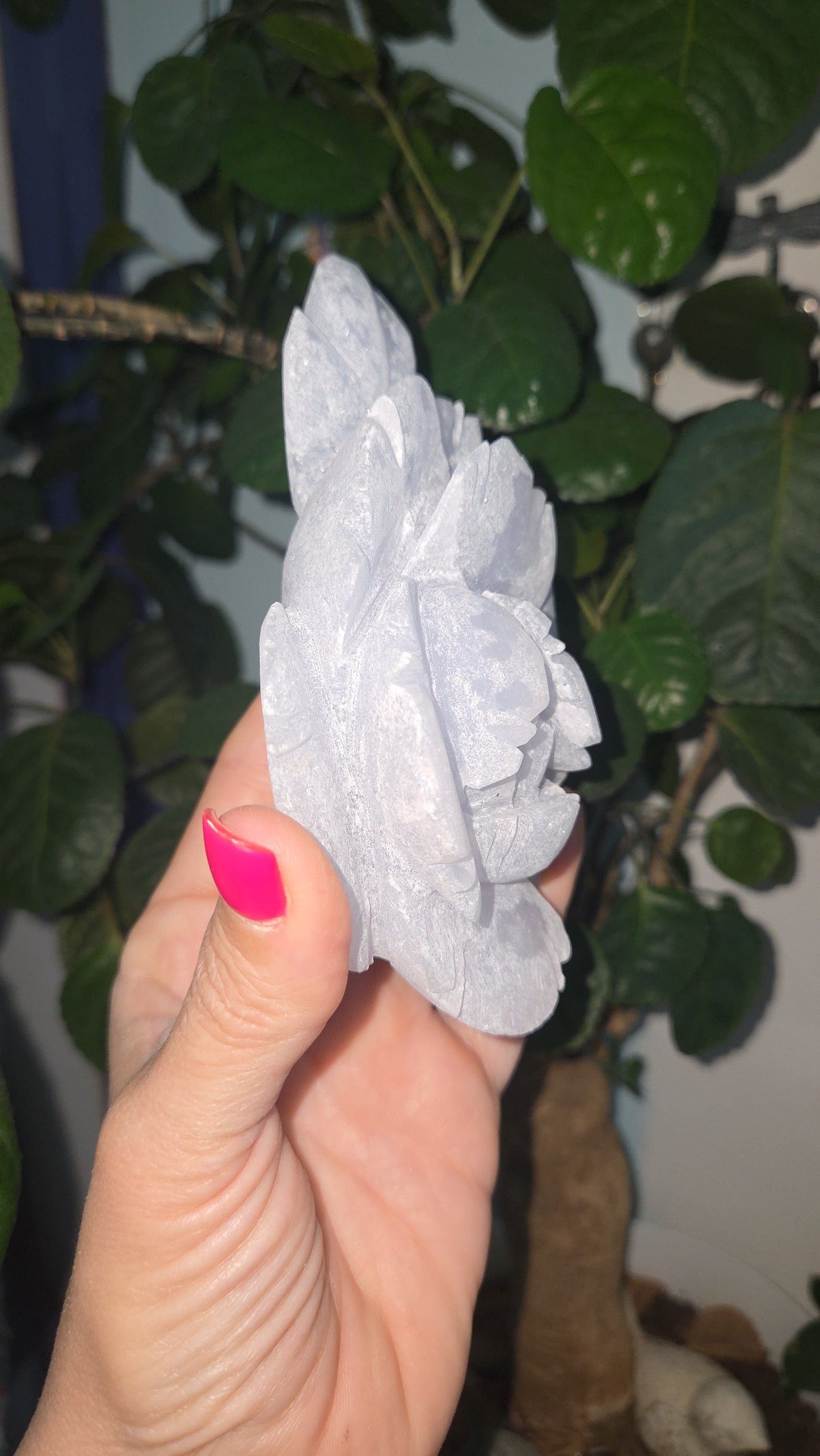 Angelite Peony