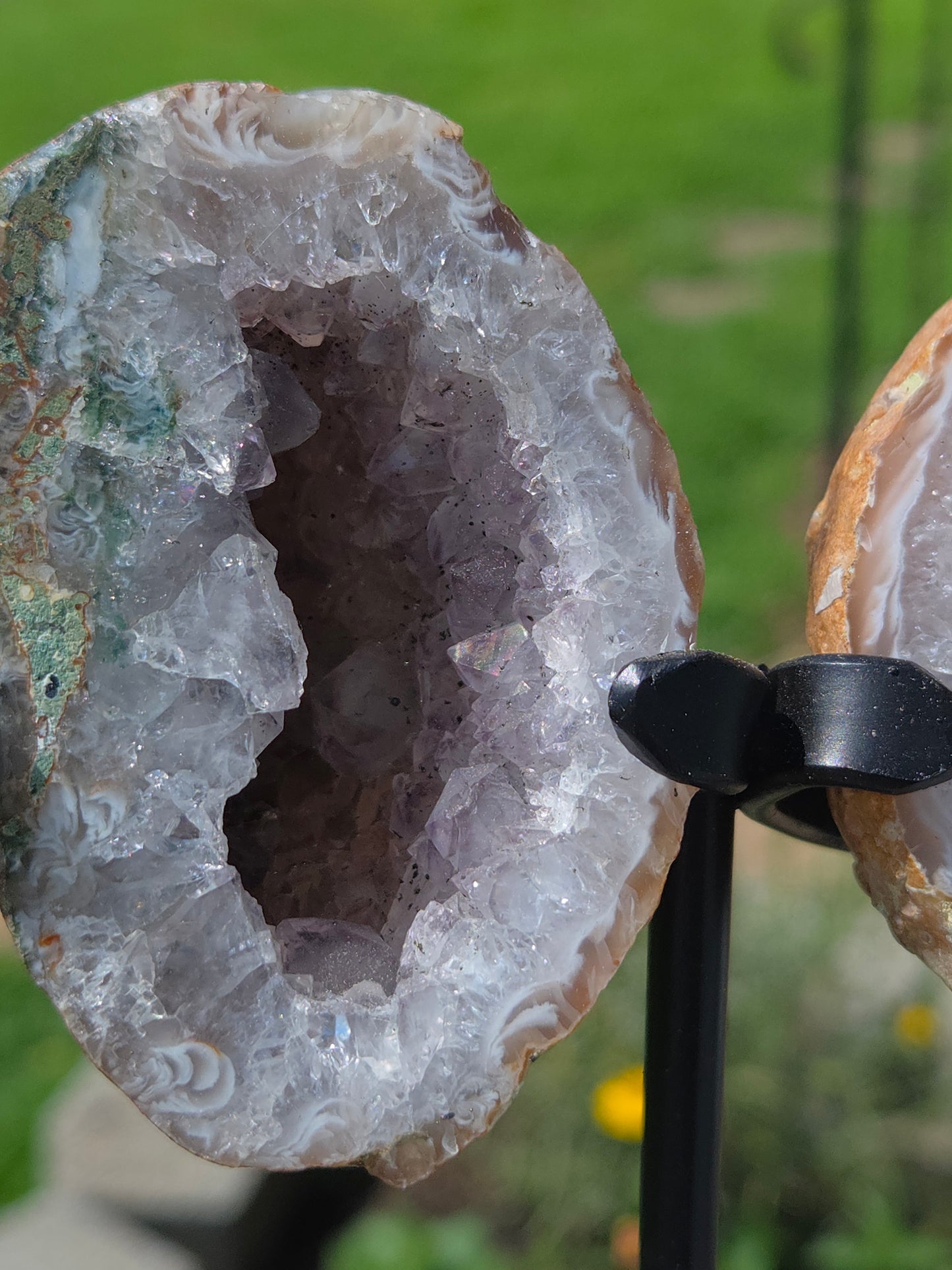 Geode Butterfly (Pinkish-Purple)