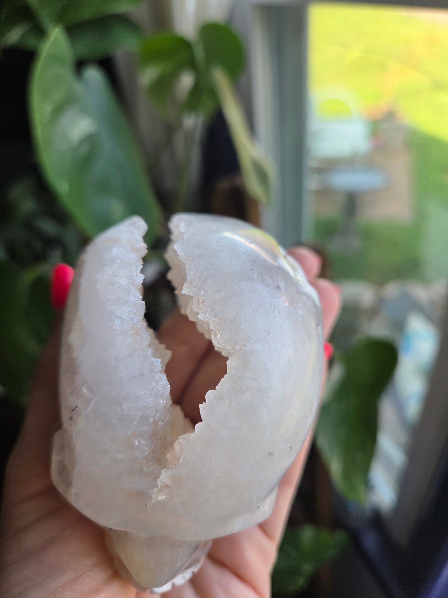 Dendritic Agate Skull